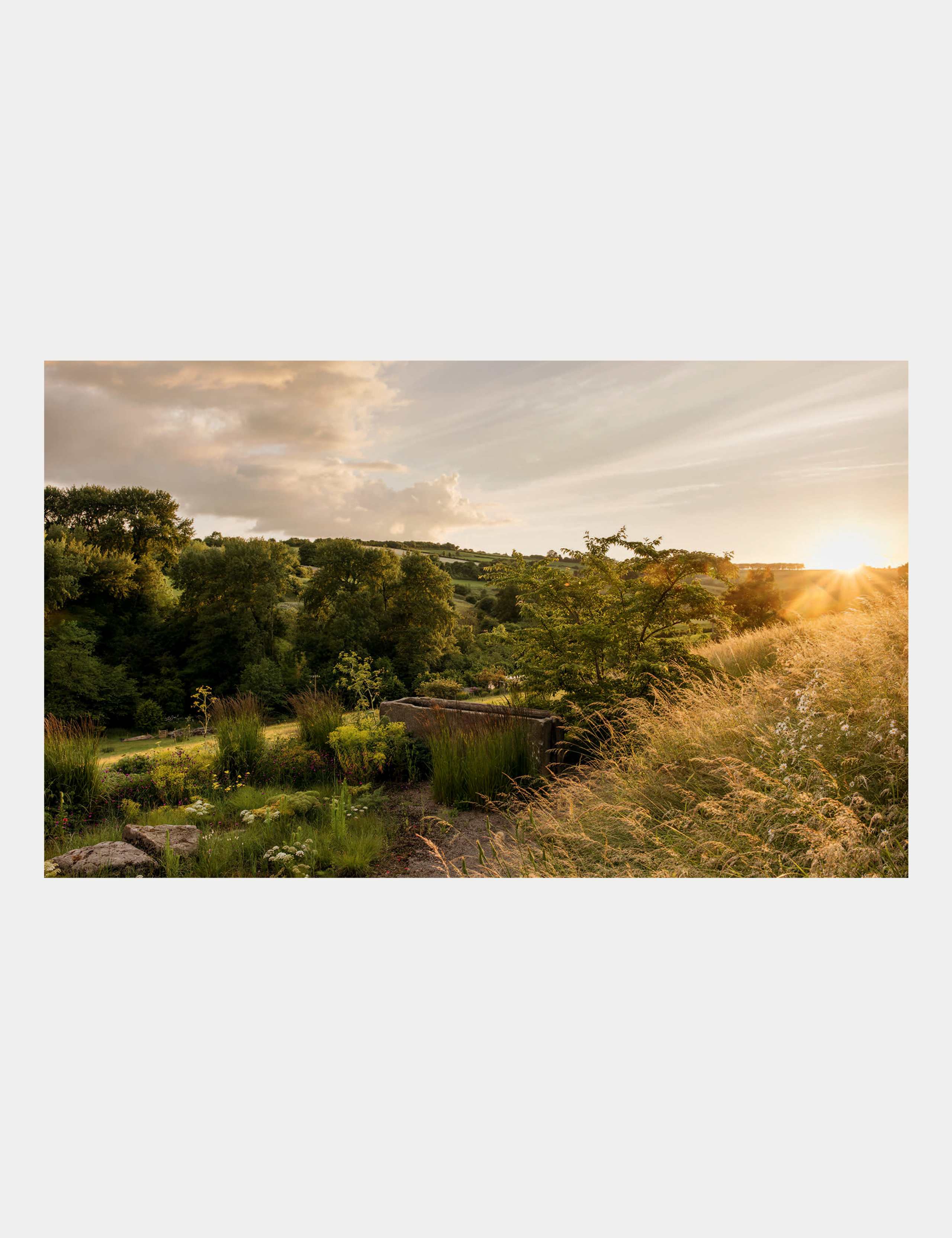Wonderlands 4 of 4