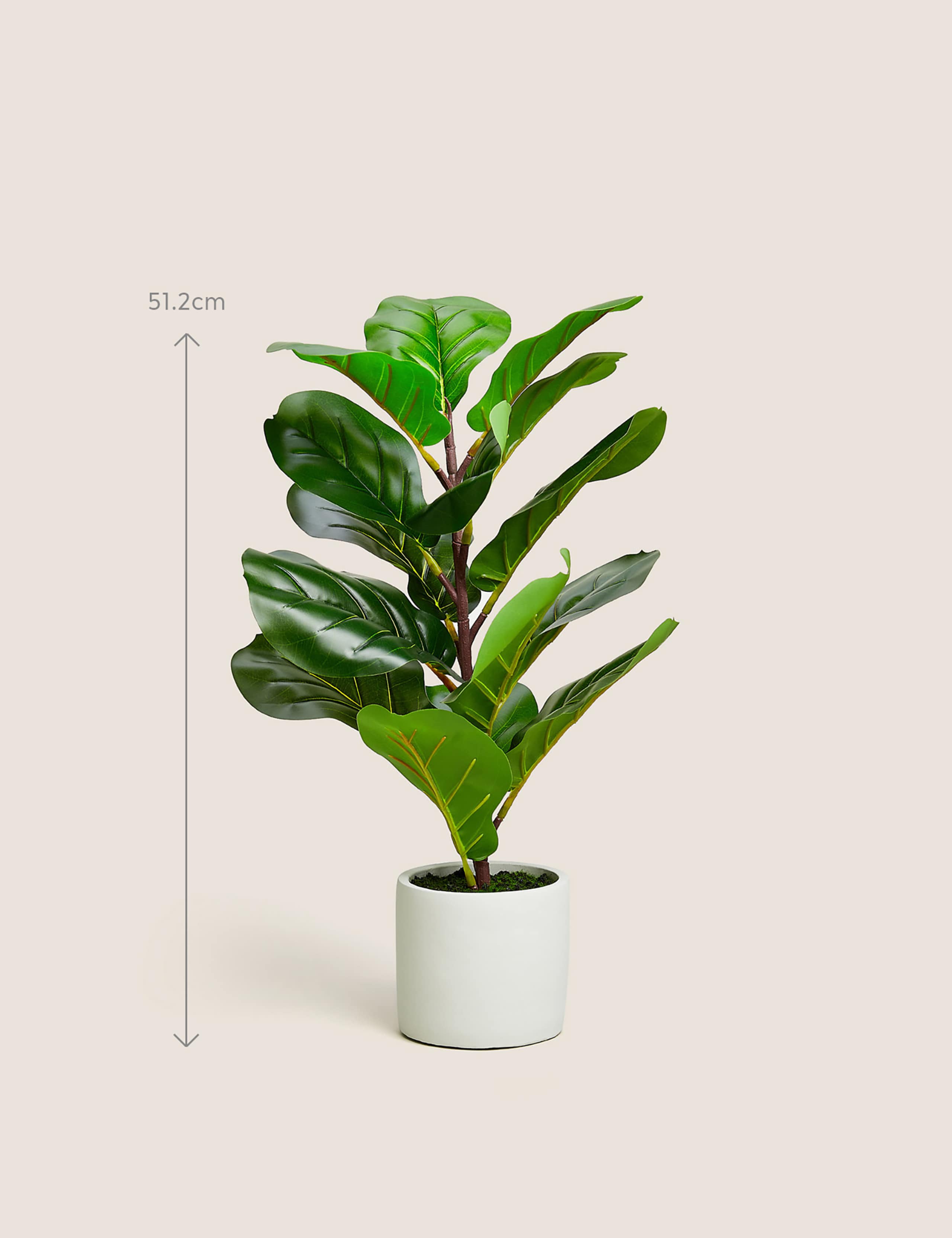 Artificial Small Fig Leaf Tree in Pot 2 of 4