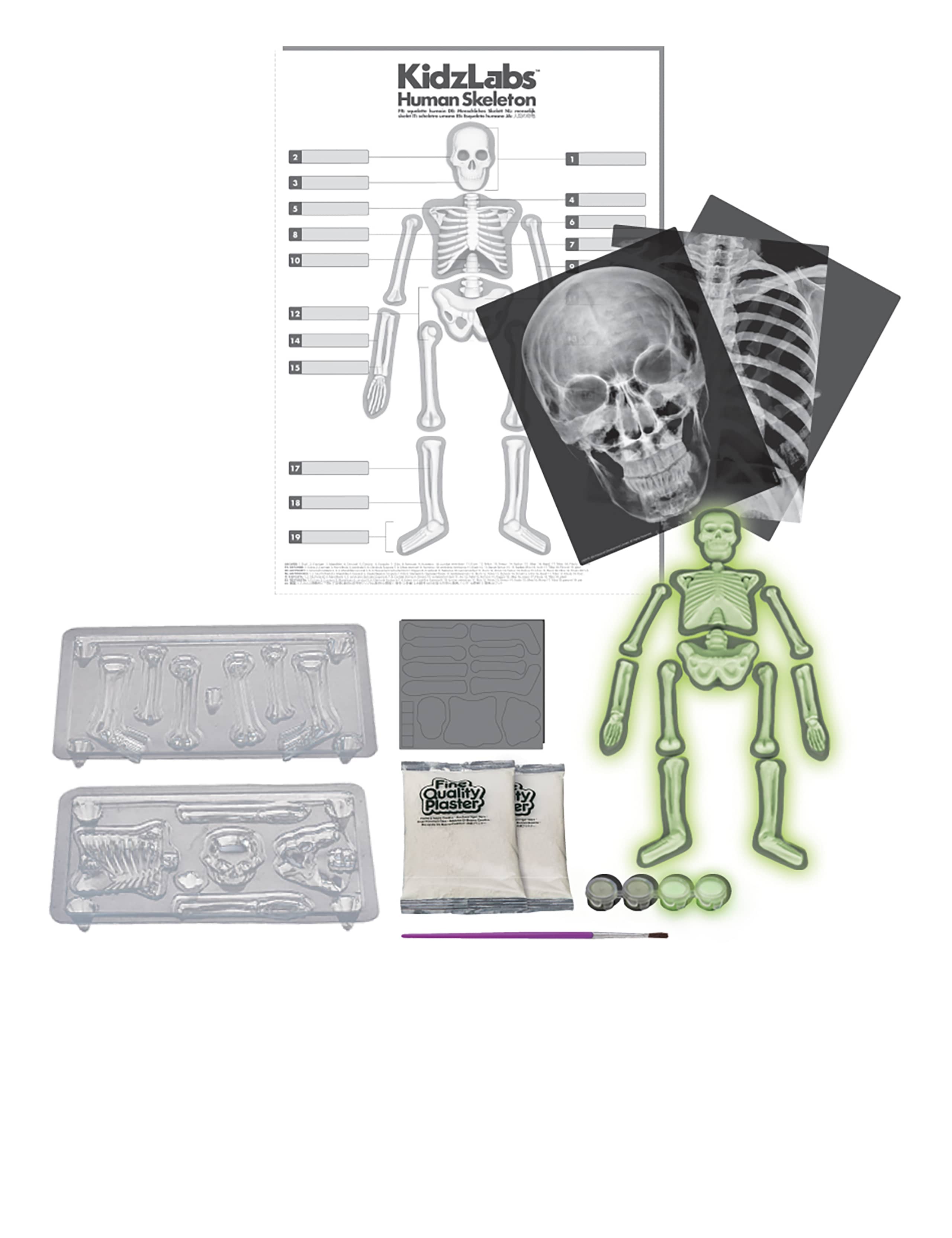 Glow Skeleton Kit 2 of 3