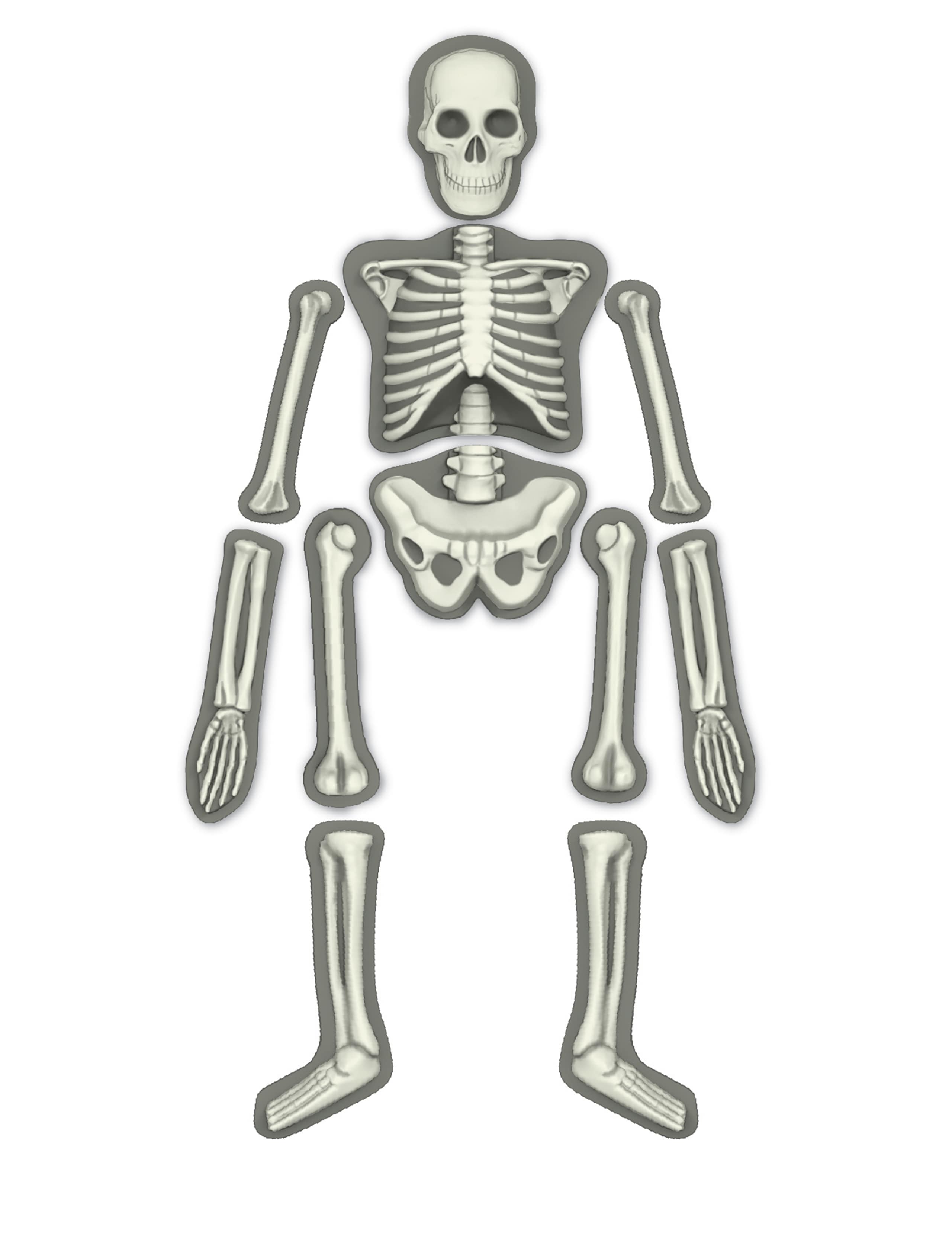 Glow Skeleton Kit 3 of 3