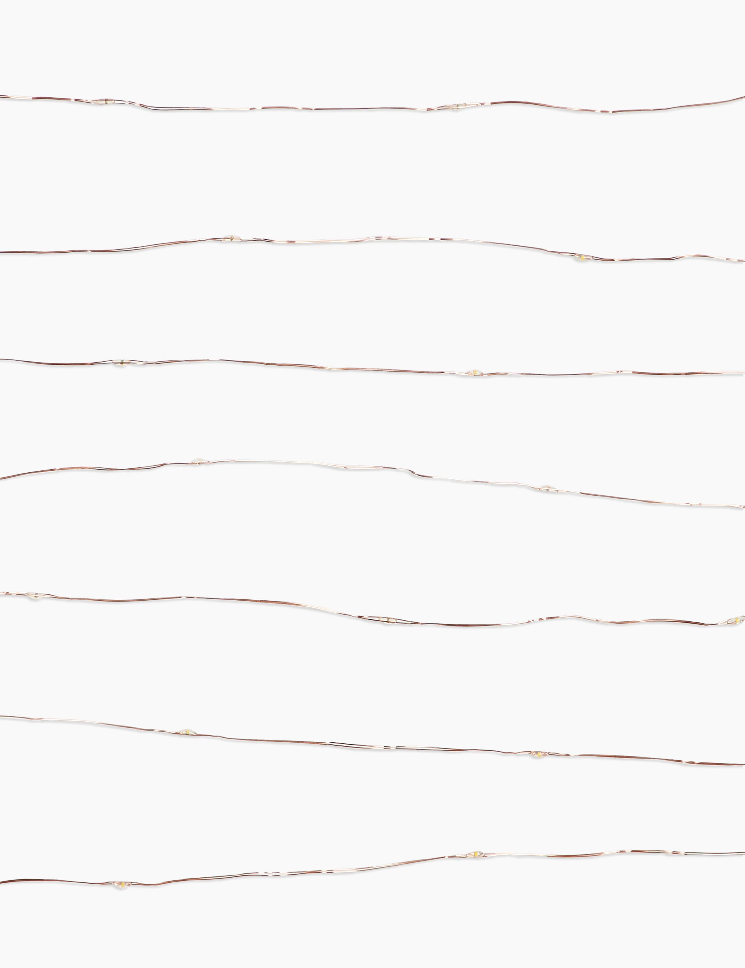 Copper Wire Lights 2 of 3