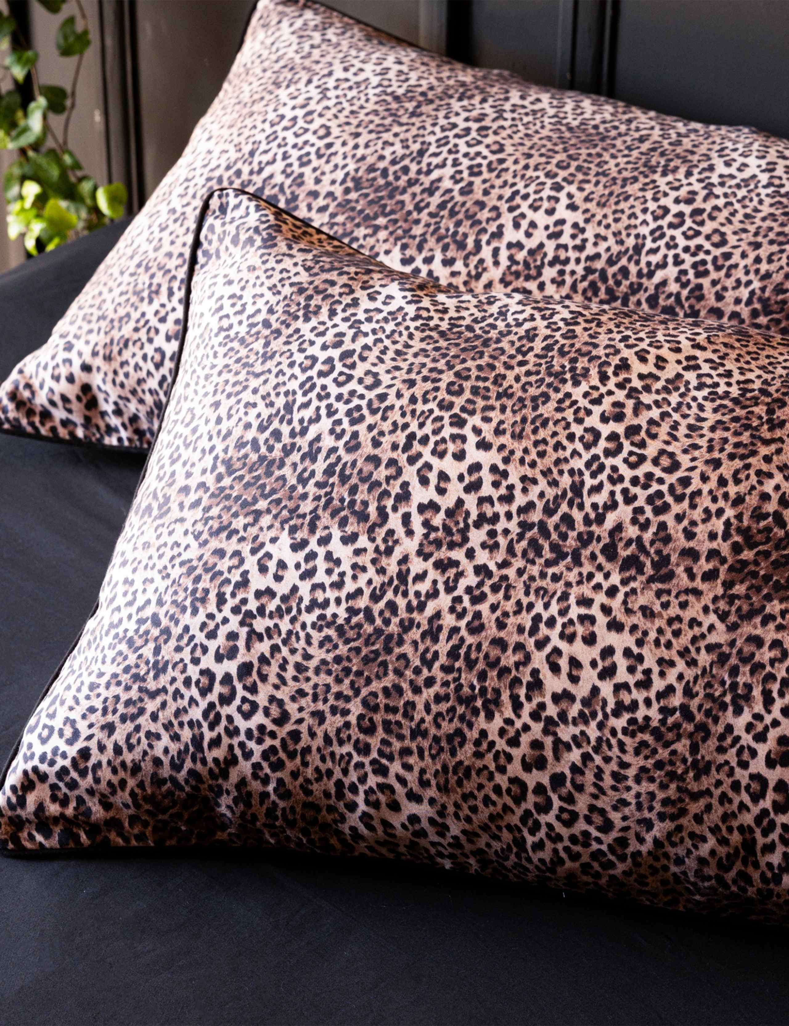 Cotton Sateen 200 Thread Count Patterned Pillowcase 1 of 4