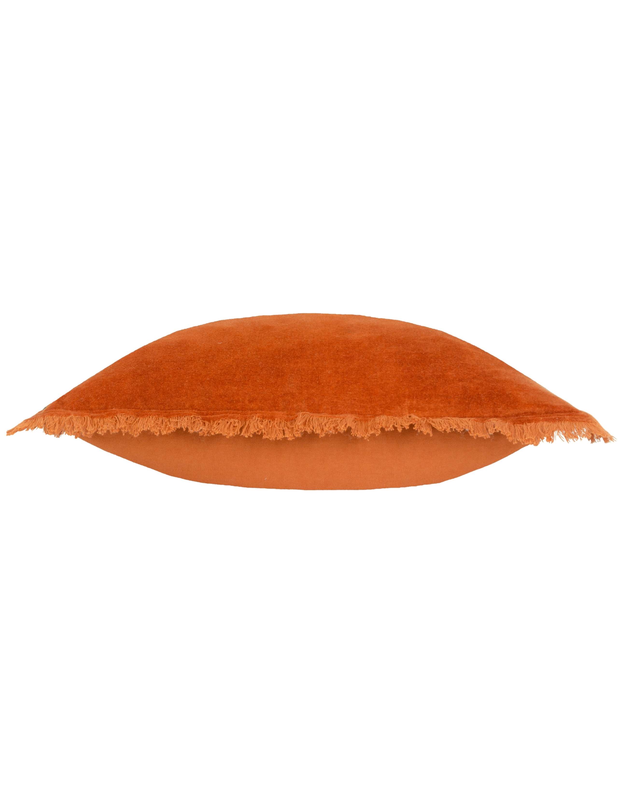 Jaye Cotton Velvet Cushion 5 of 6