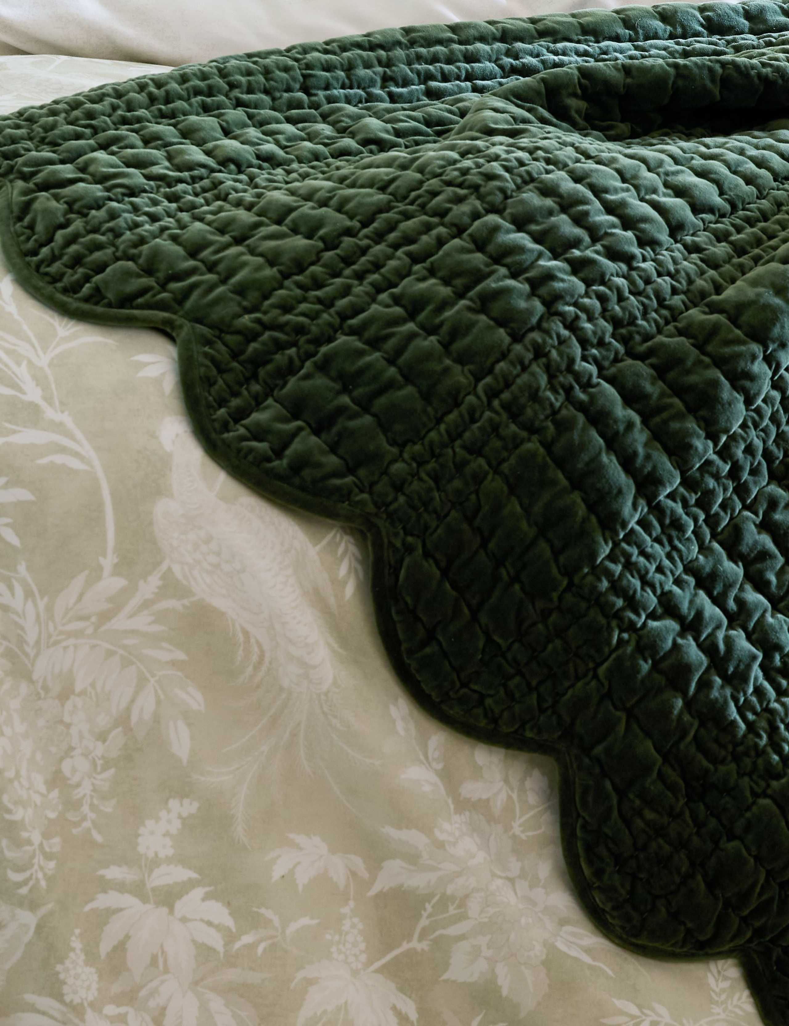 Velvet Scalloped Bedspread 5 of 5
