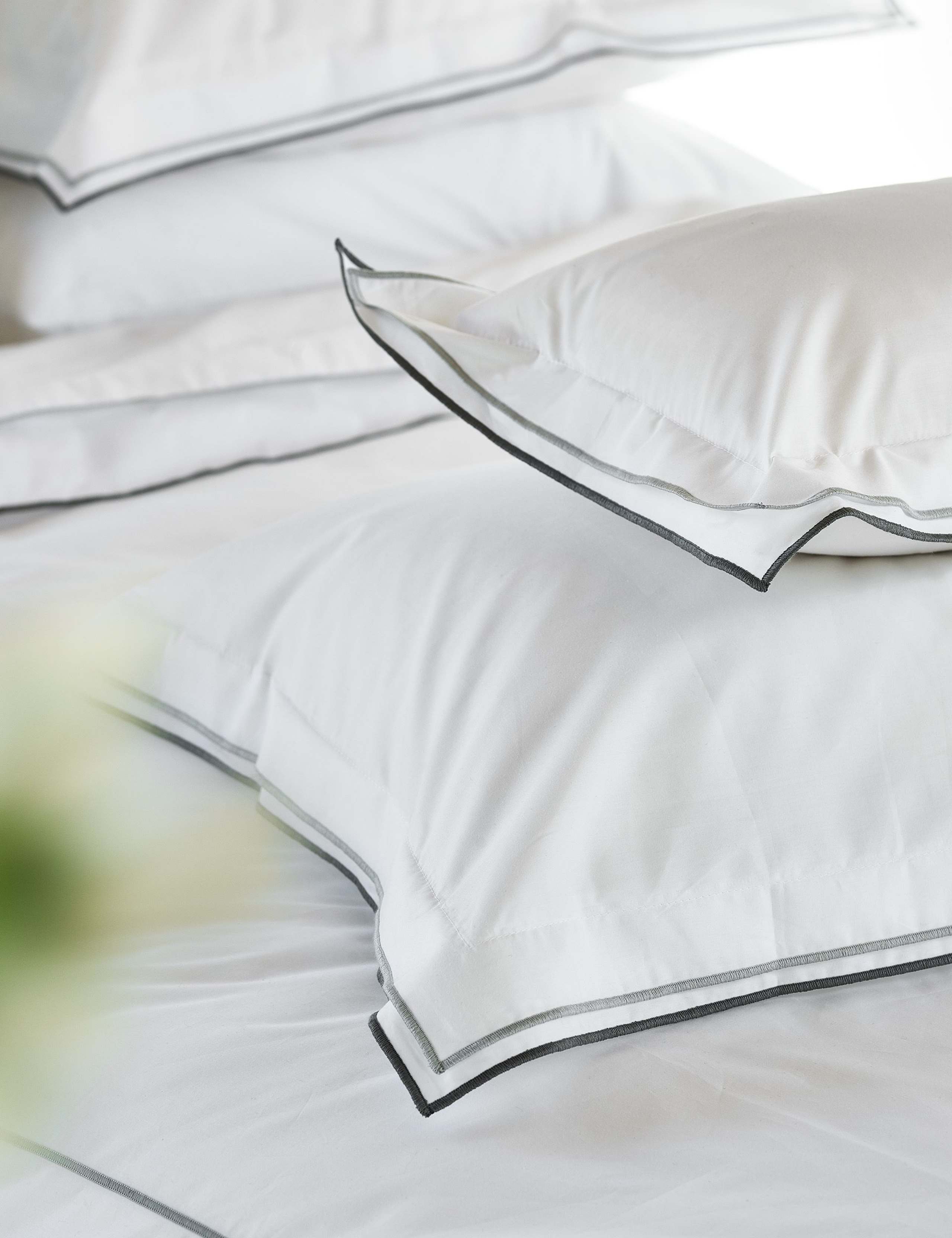 2 Pack Pure Cotton Astor Pillowcases 3 of 3