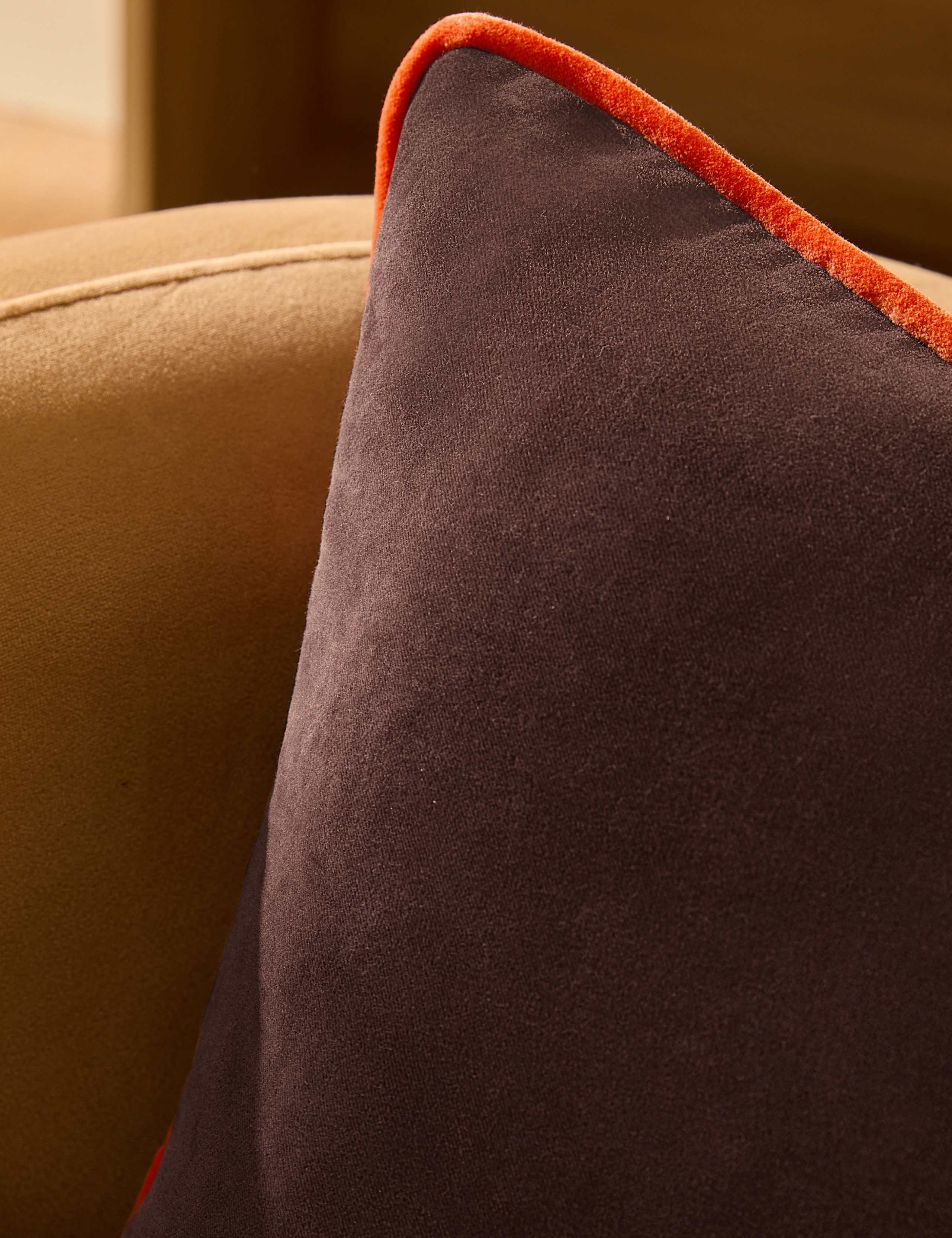 Bailey Brushed Cotton Velvet Piped Cushion 4 of 6