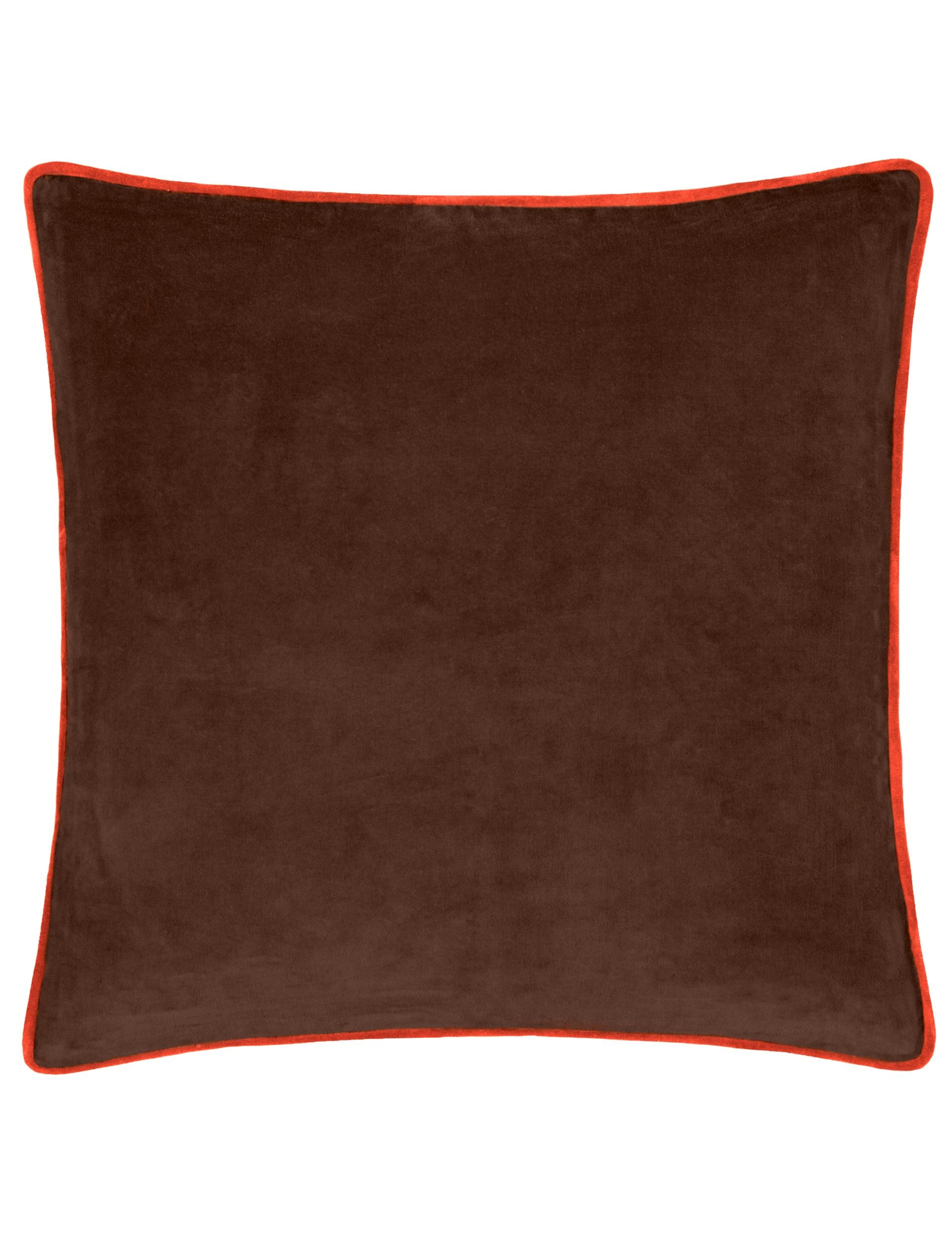 Bailey Brushed Cotton Velvet Piped Cushion 2 of 6