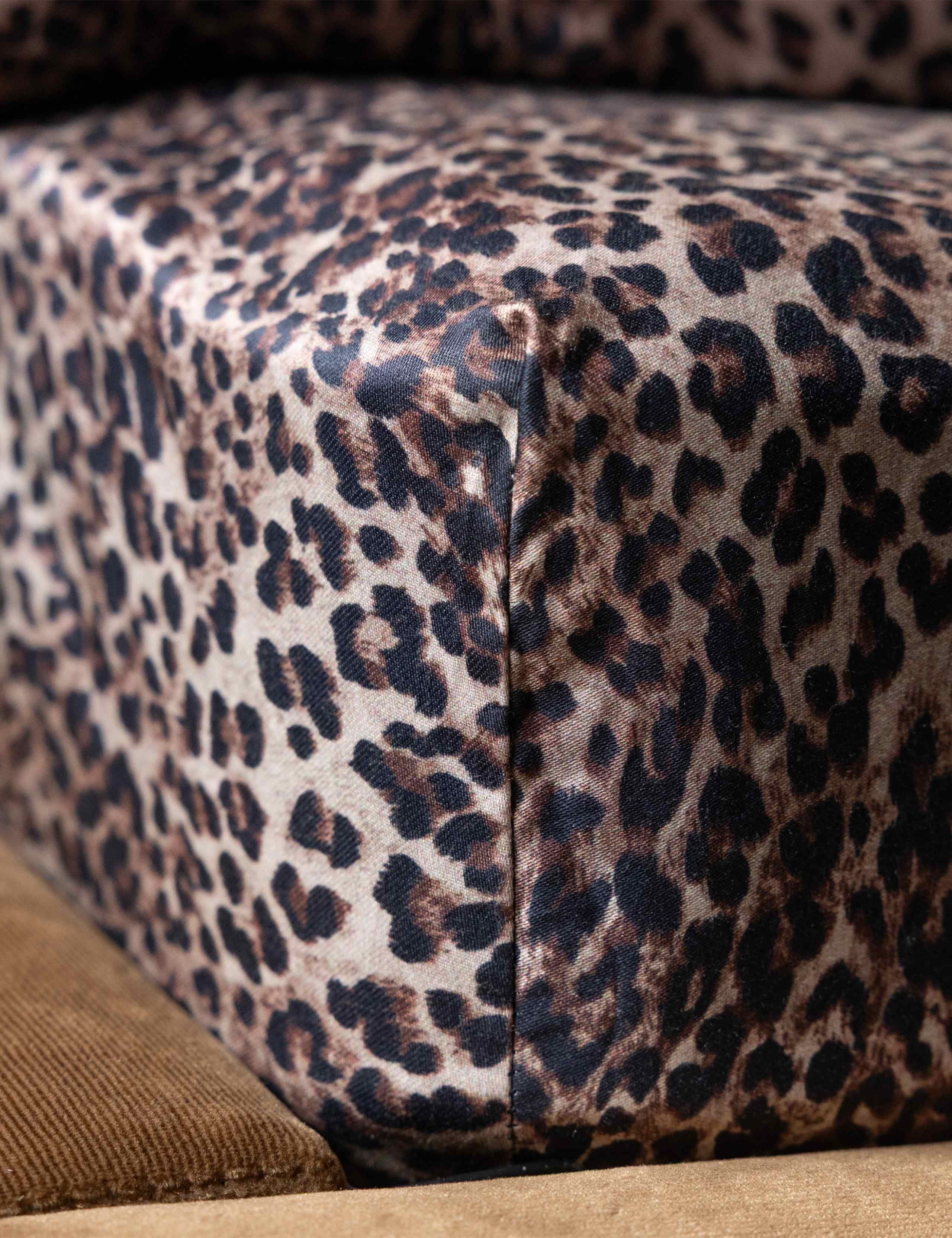 Pure Cotton Sateen Leopard Love Fitted Sheet 6 of 9
