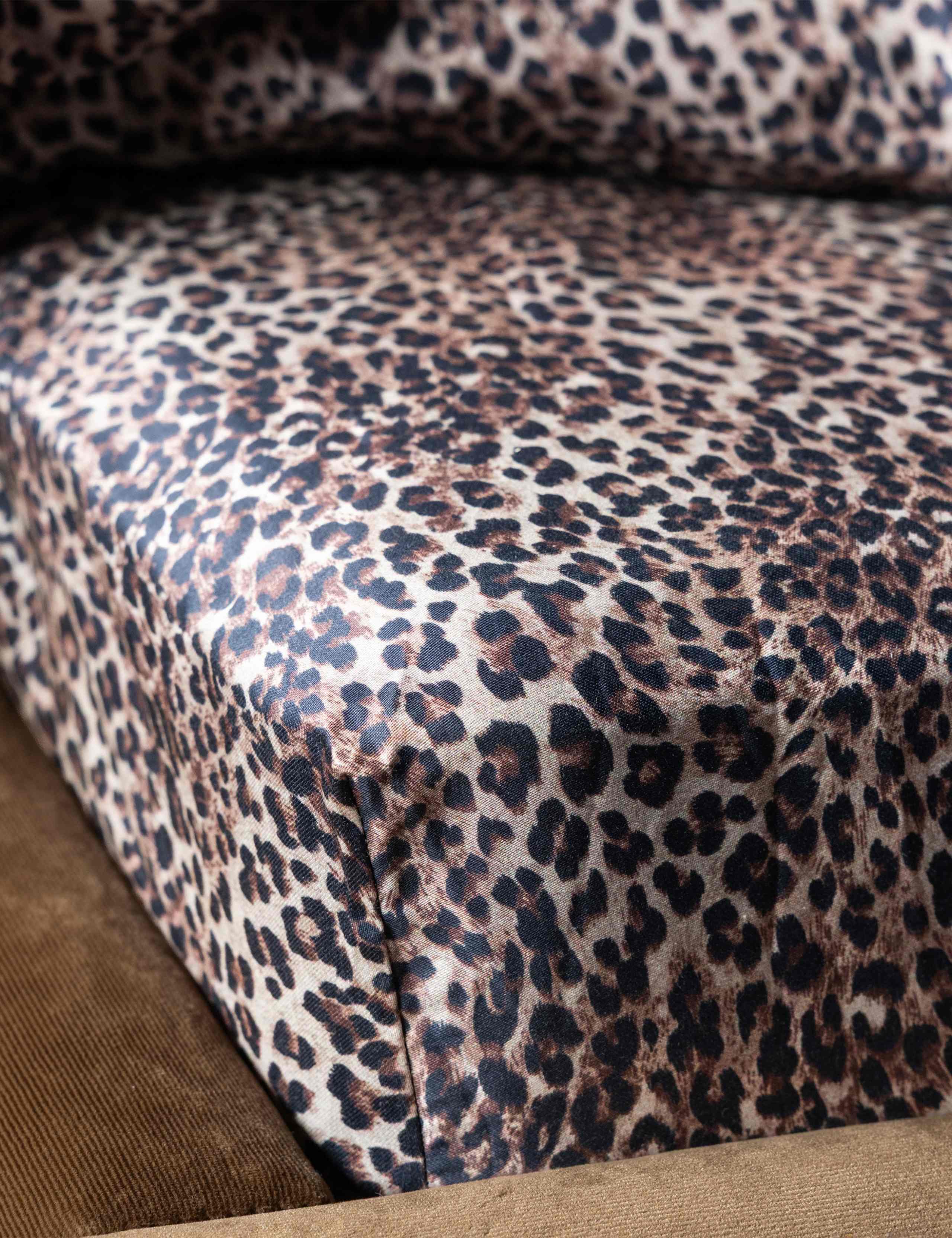 Pure Cotton Sateen Leopard Love Fitted Sheet 7 of 9