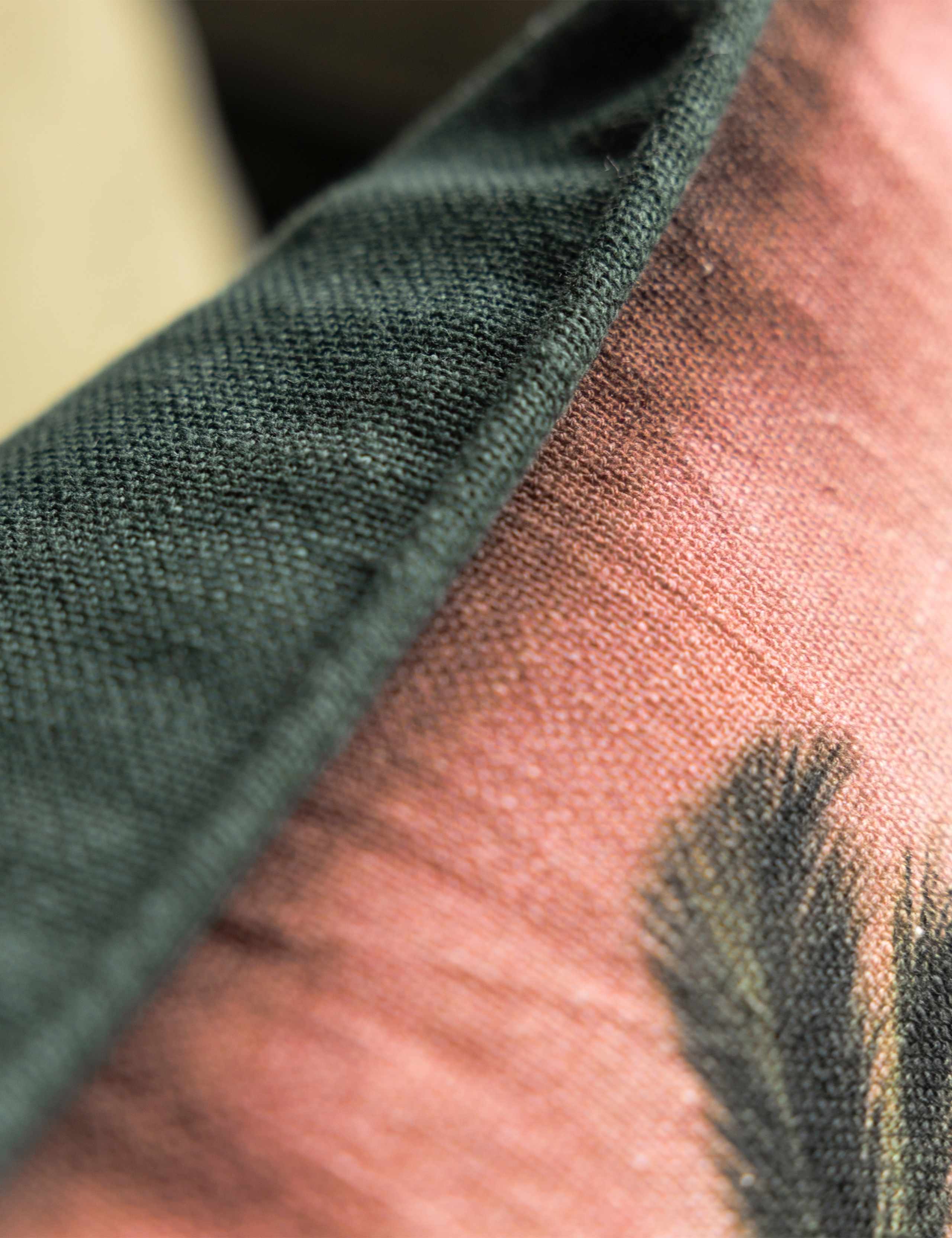 Pure Cotton Palm Paradise Piped Cushion 5 of 5