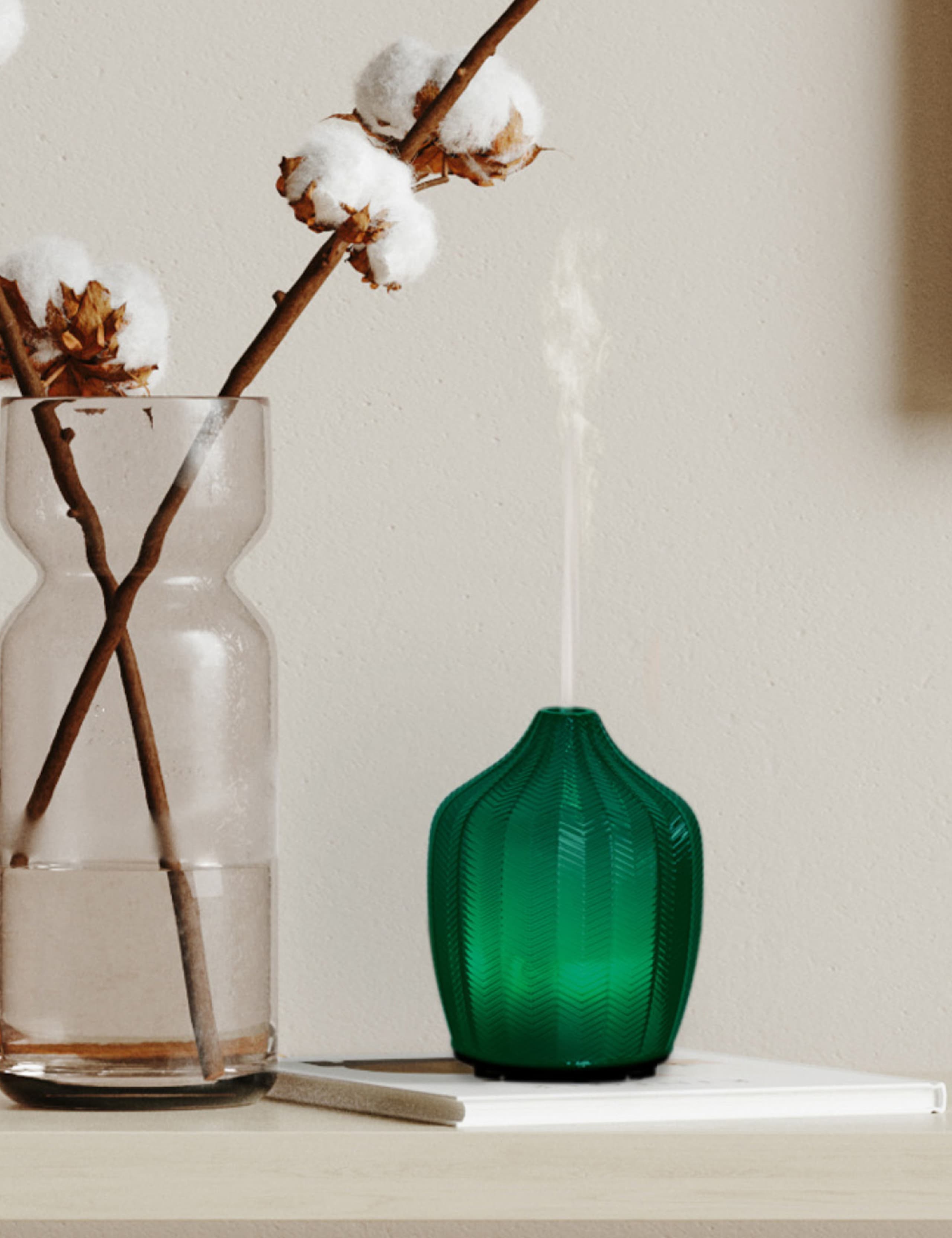 Fern Aroma Electric Diffuser 3 of 3