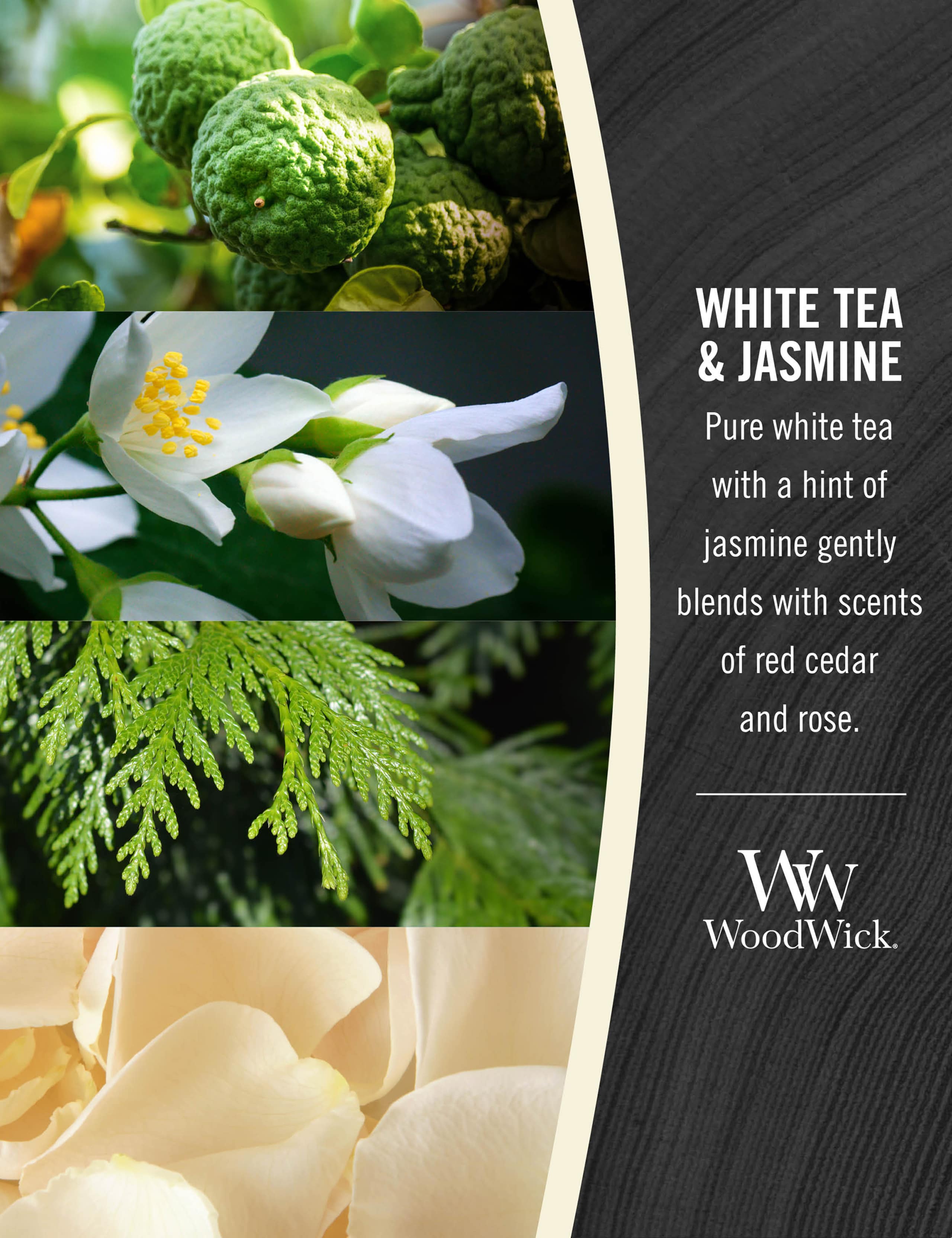 White Tea & Jasmine Scented Candle with Crackle Wick 3 of 3