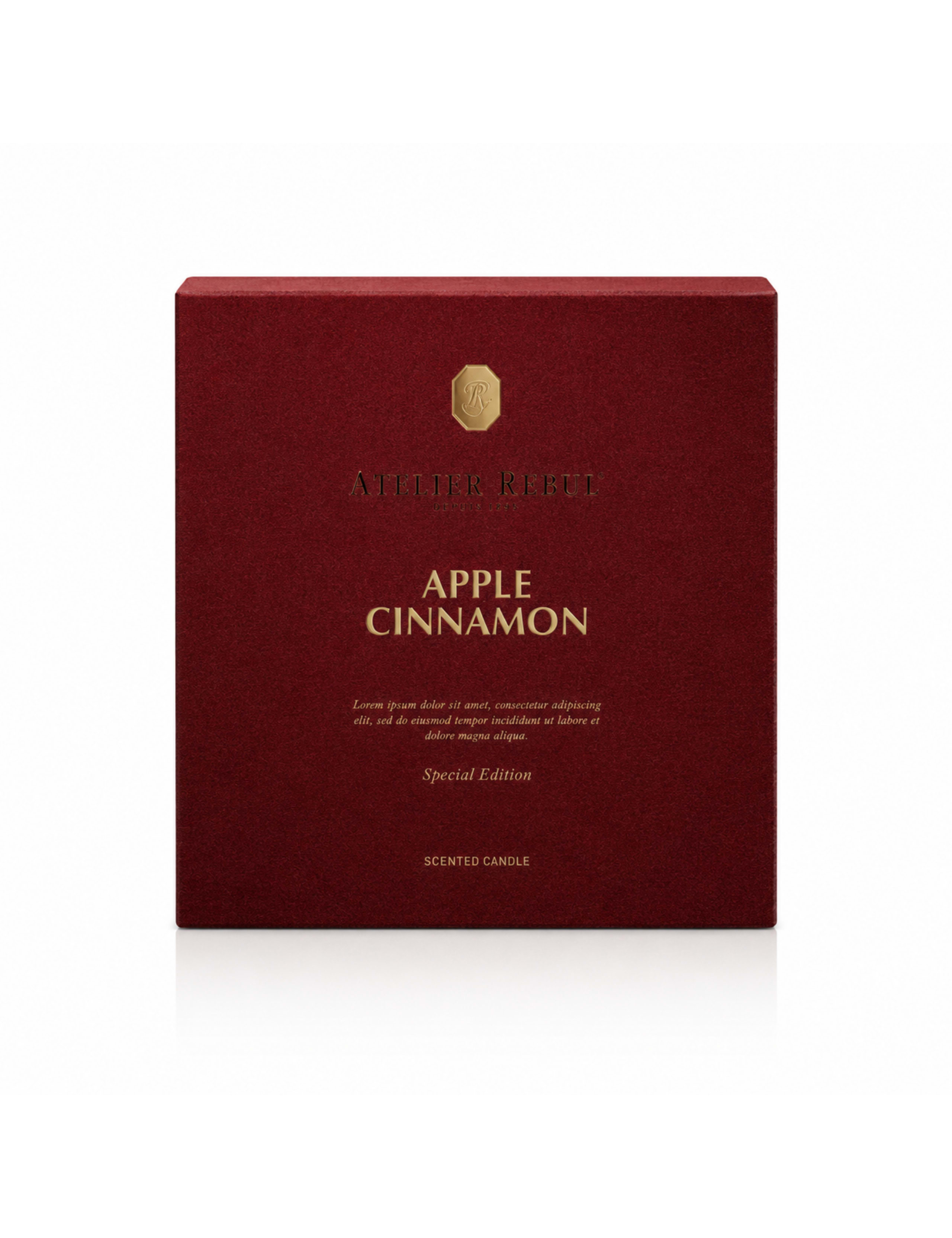 Apple Cinnamon Candle 210g 2 of 4