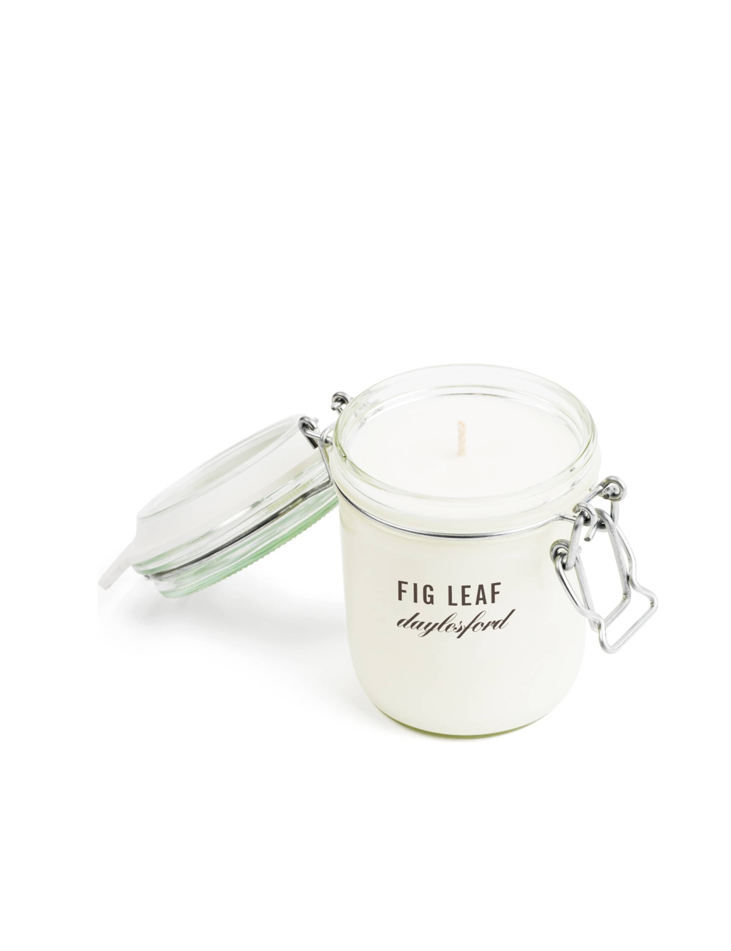 Botanical Fig Leaf Large Candle 270g 1 of 1