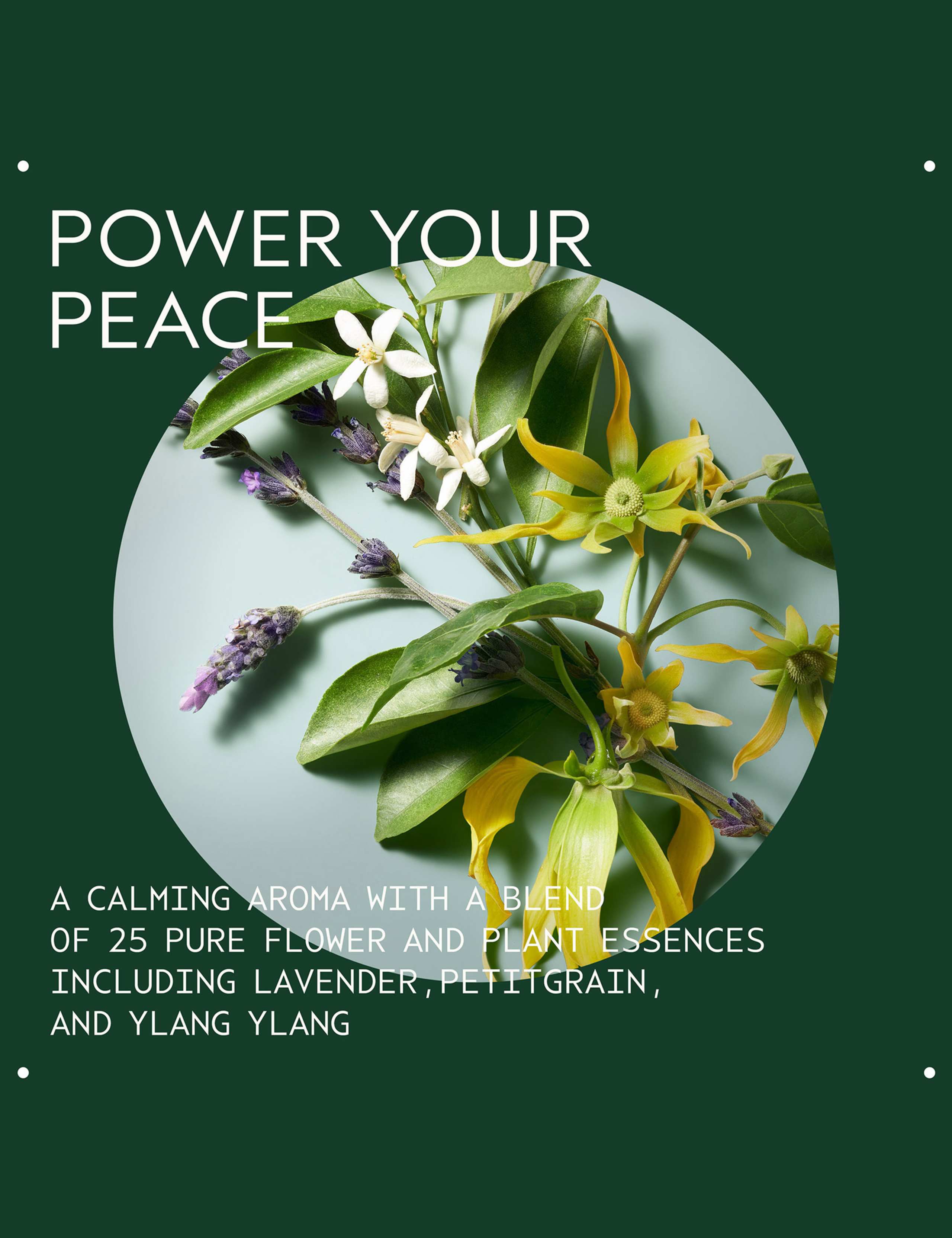 Serene Spirit: Shampure™ Body Calming Essentials 7 of 7