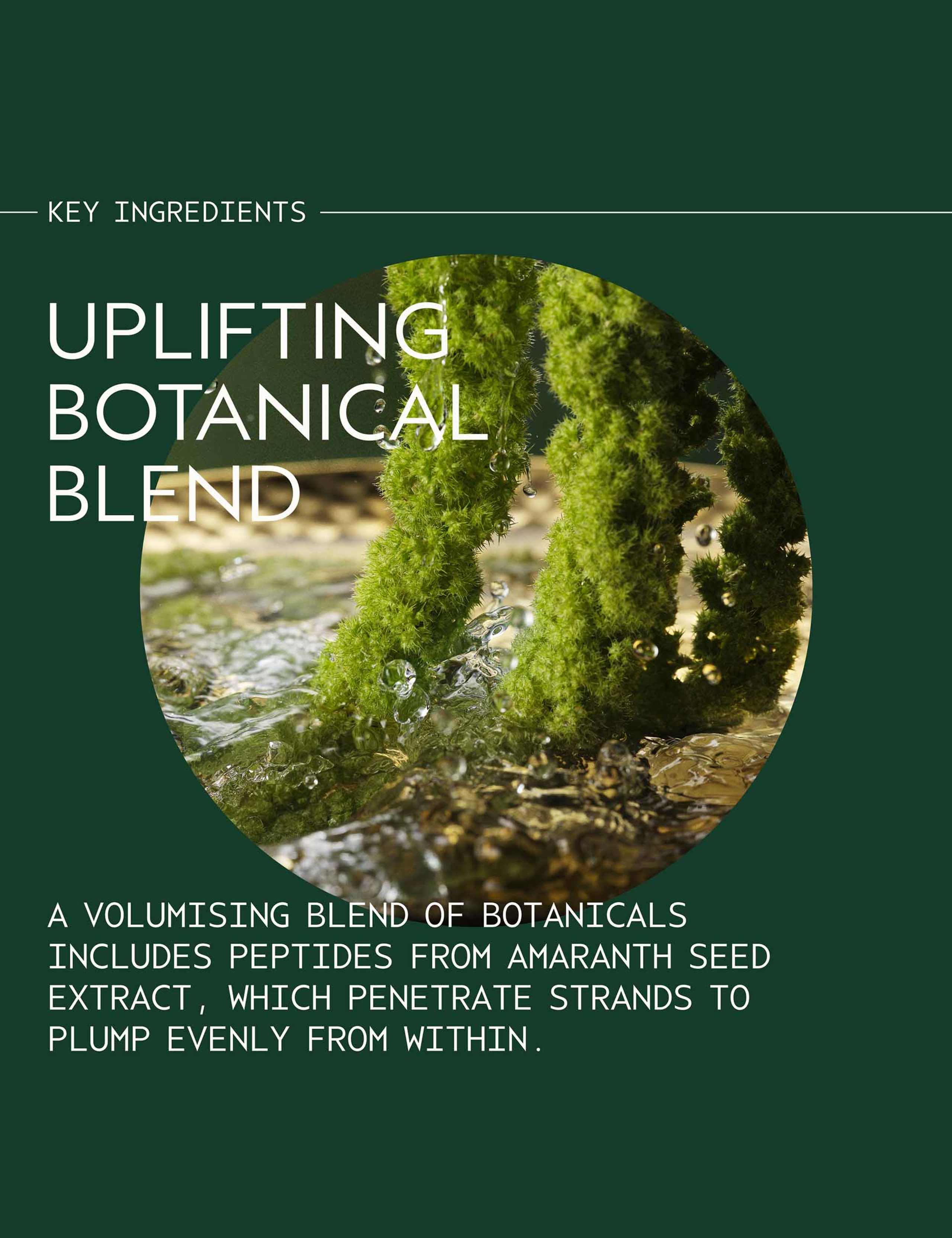 Pure Abundance™ Volumizing Shampoo​ 200ml 7 of 8