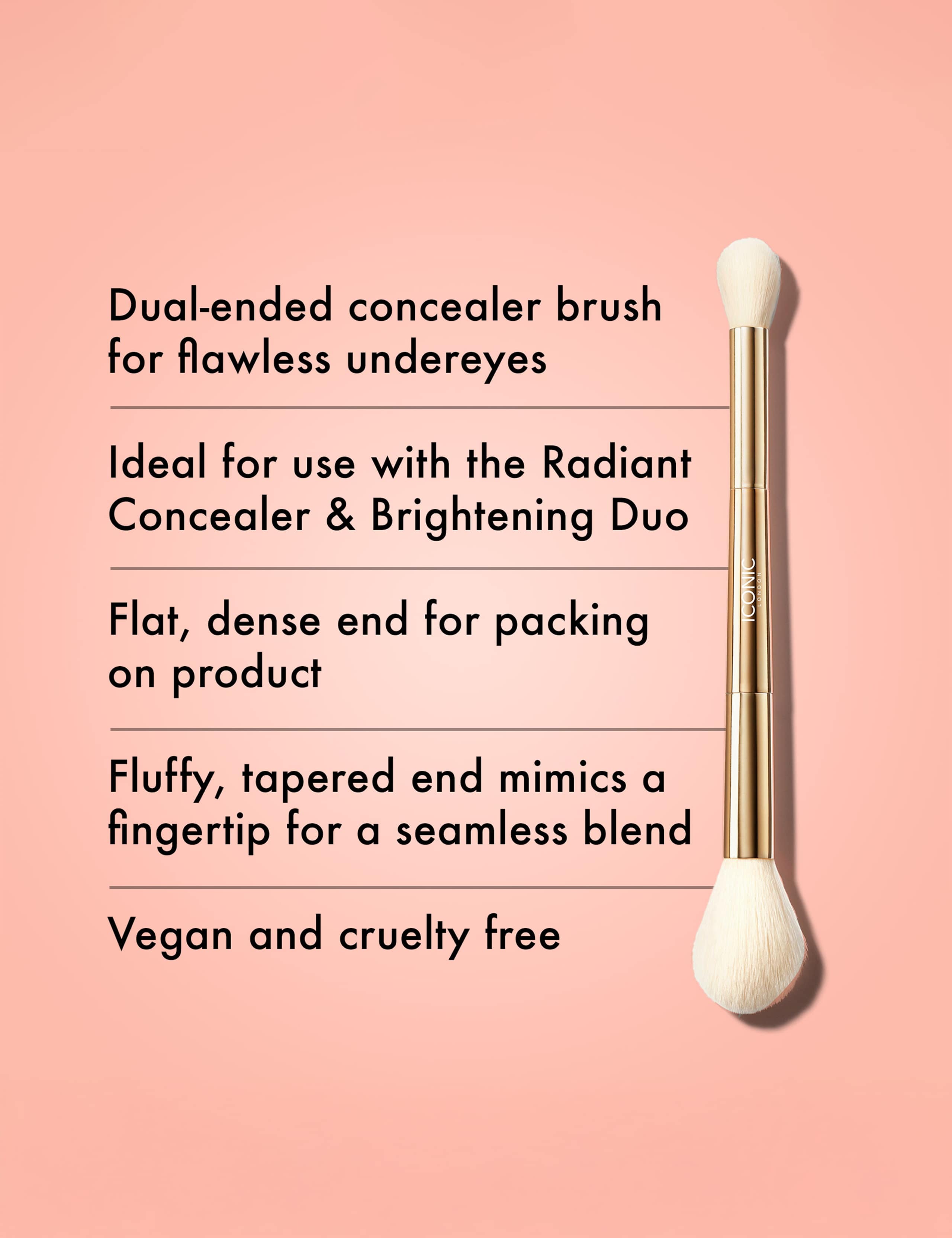 Highlight & Blush Brush 2 of 3
