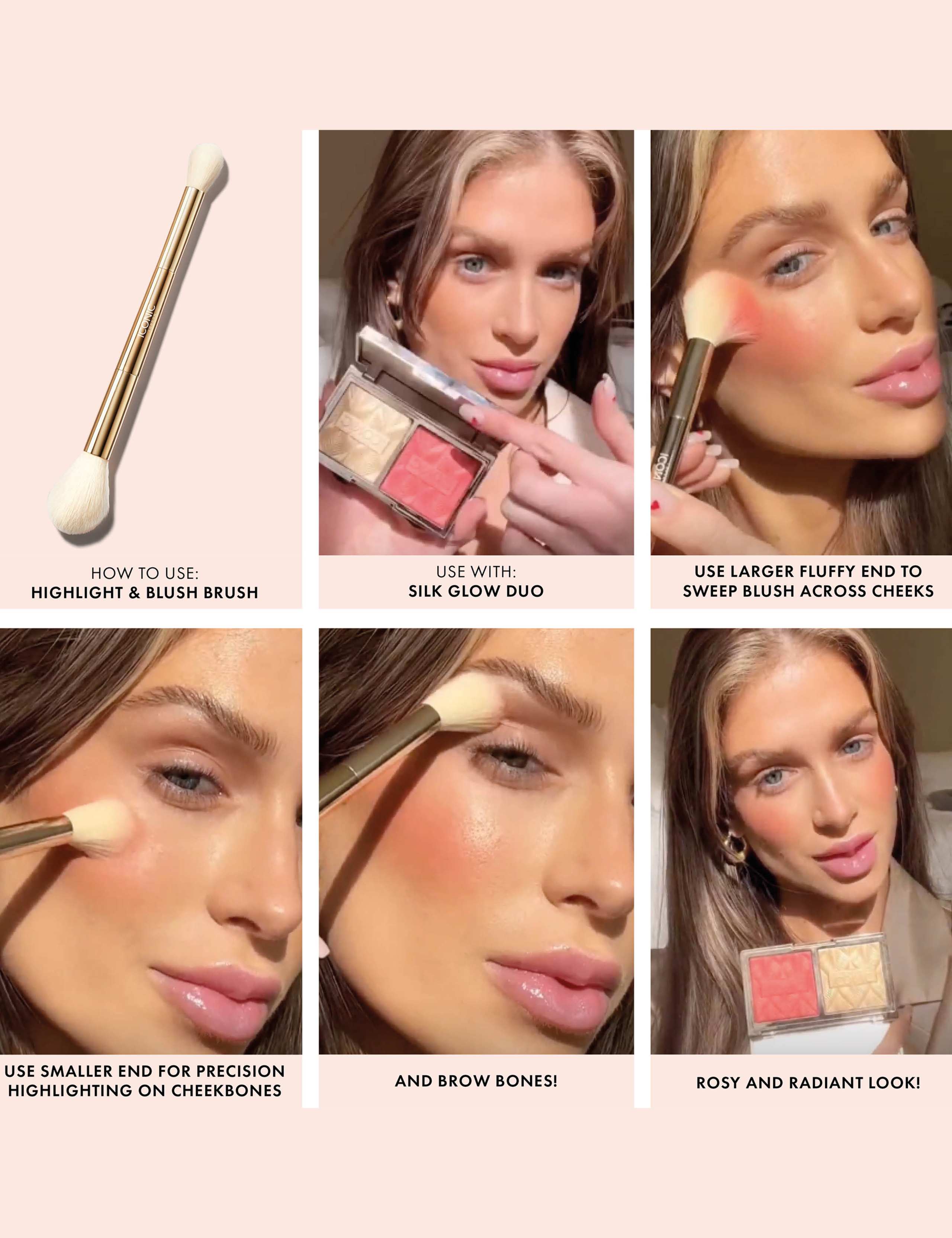 Highlight & Blush Brush 3 of 3