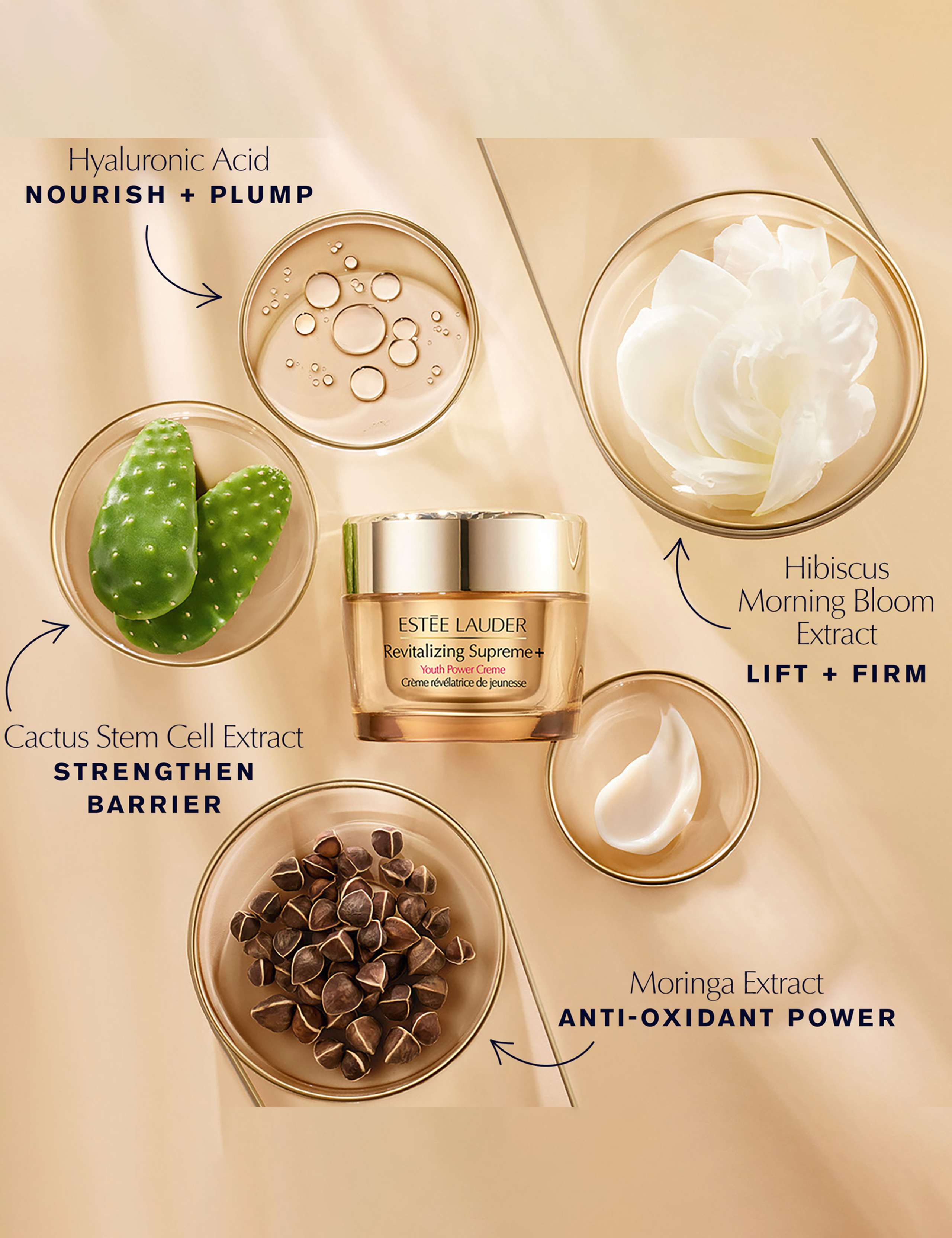 Estée Lauder Revitalizing Supreme+ Holiday Skincare Gift Set 4 of 5