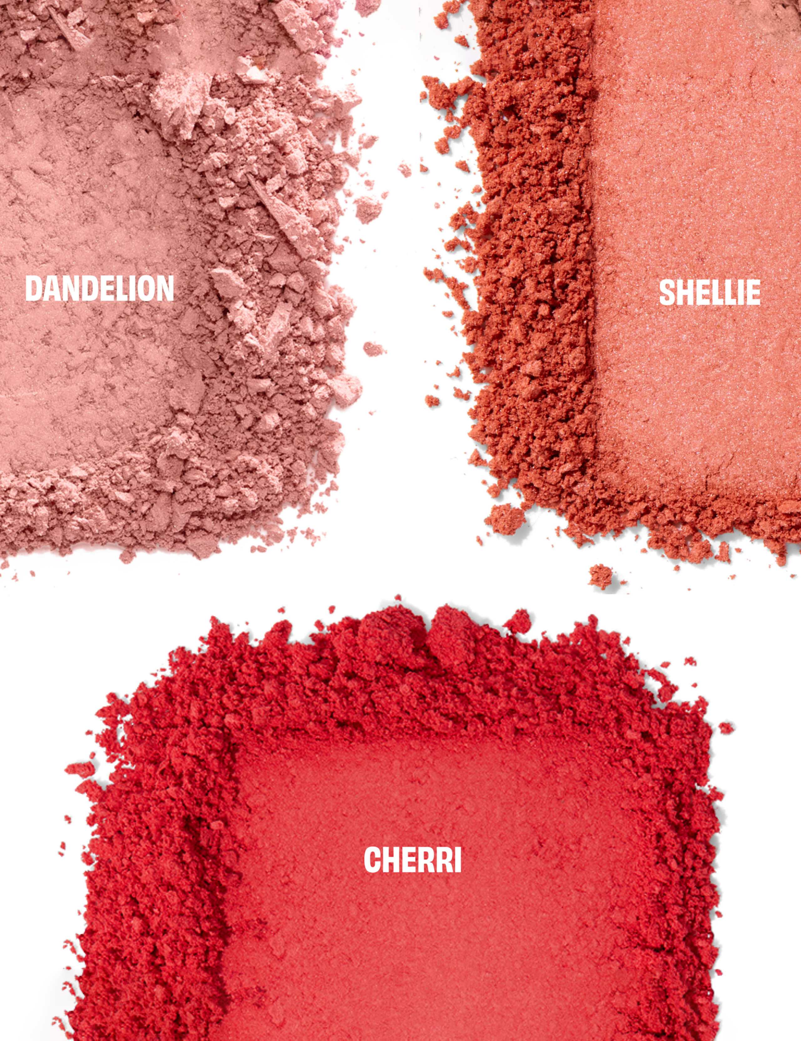 Chocolotta​ Blush Palette - Worth £49.50 3 of 6
