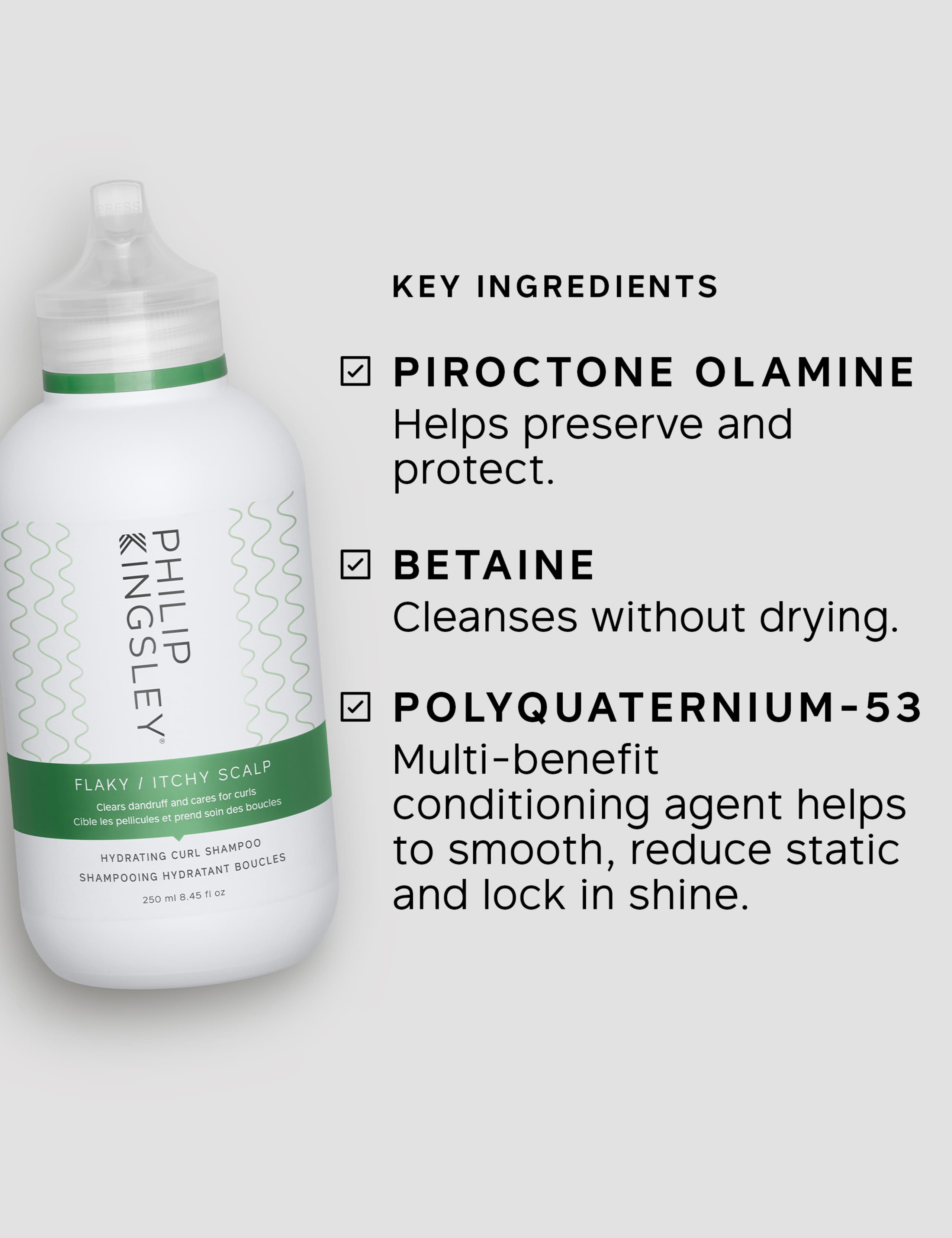 Philip Kingsley Flaky/Itchy Scalp Hydrating Curl Anti-Dandruff Shampoo 250ml 3 of 8