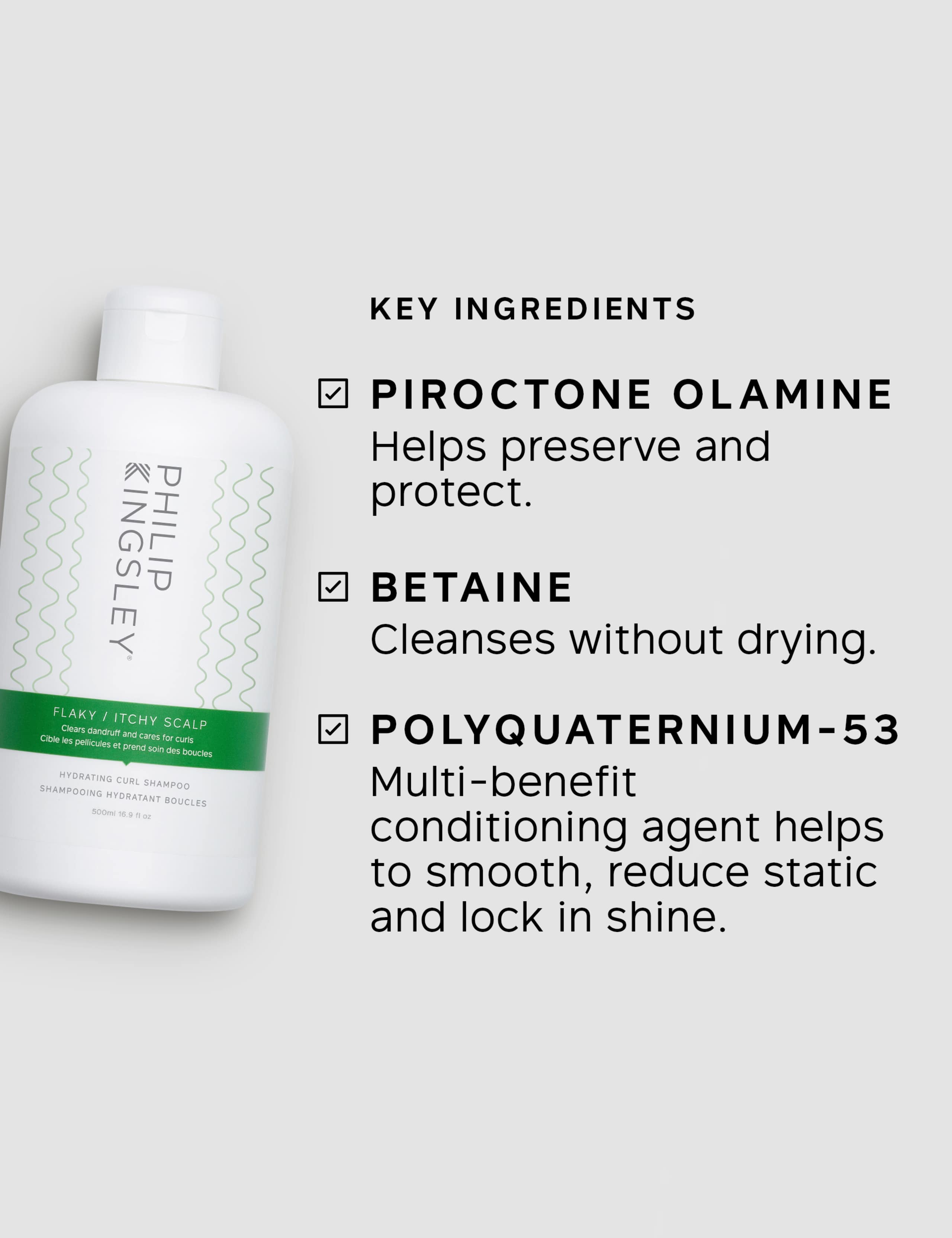 Philip Kingsley Flaky/Itchy Scalp Hydrating Curl Anti-Dandruff Shampoo 500ml 2 of 7