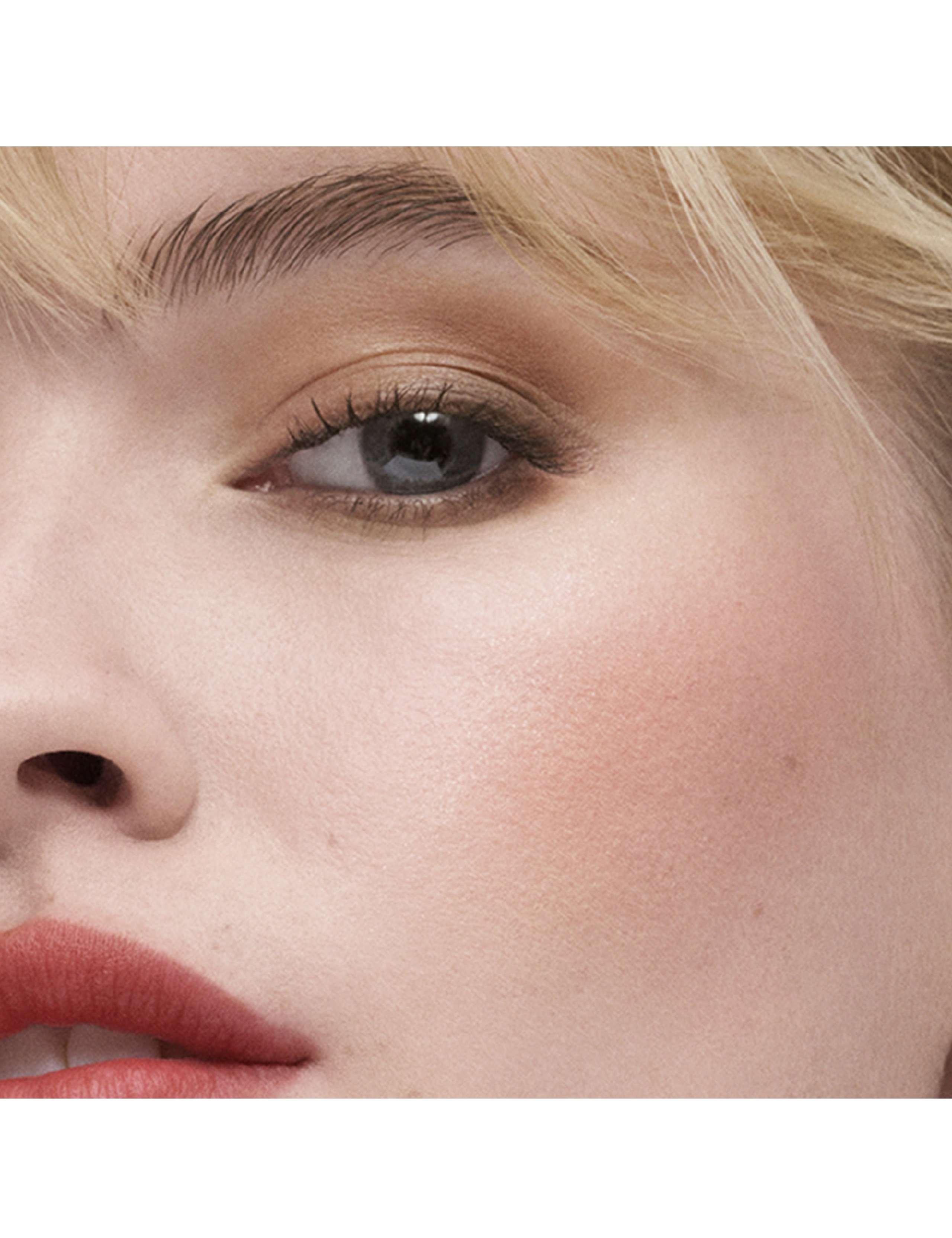 The Sculpting Blush 7g 3 of 4