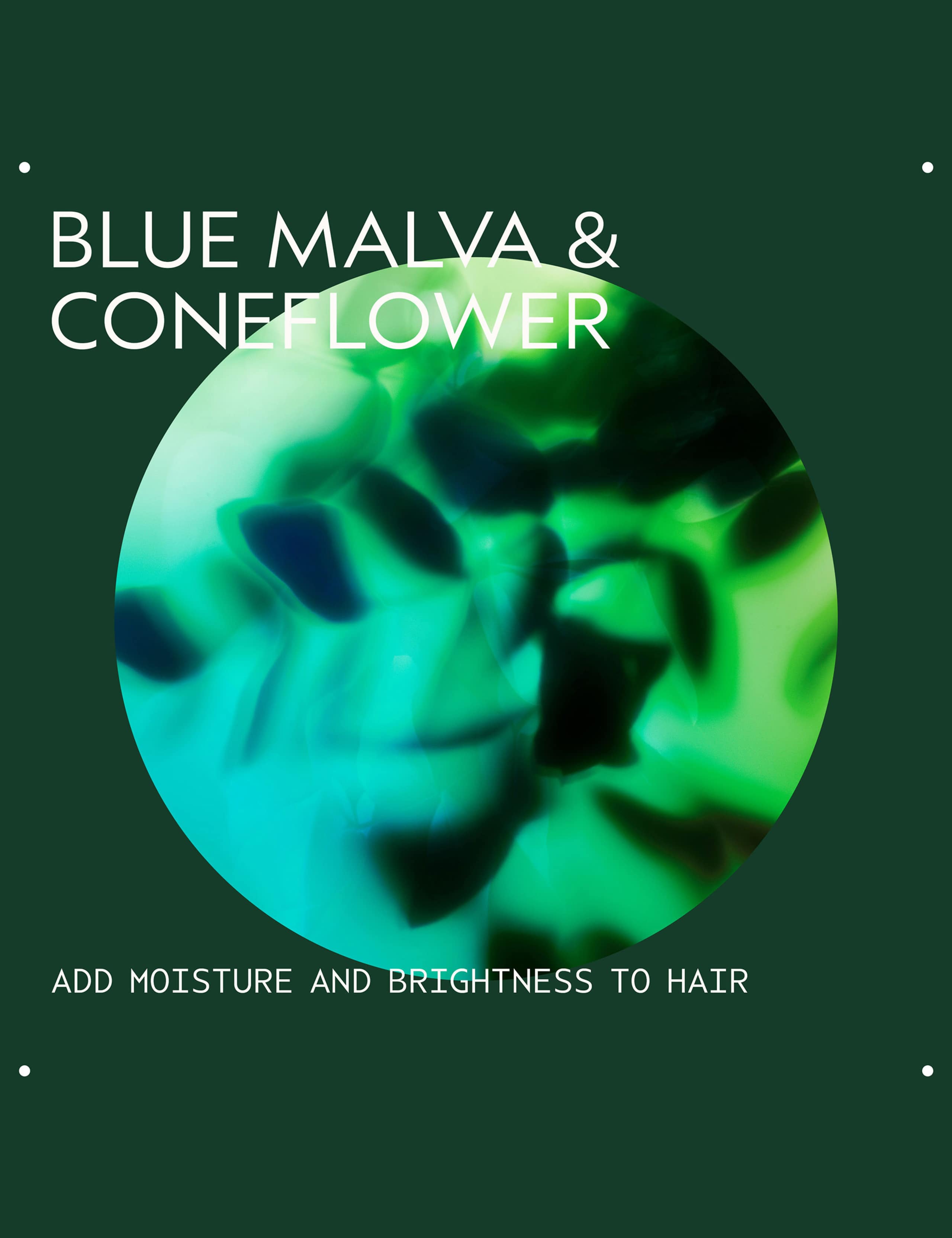 1 Litre Blue Malva Shampoo - *Save 25% per ml 3 of 5