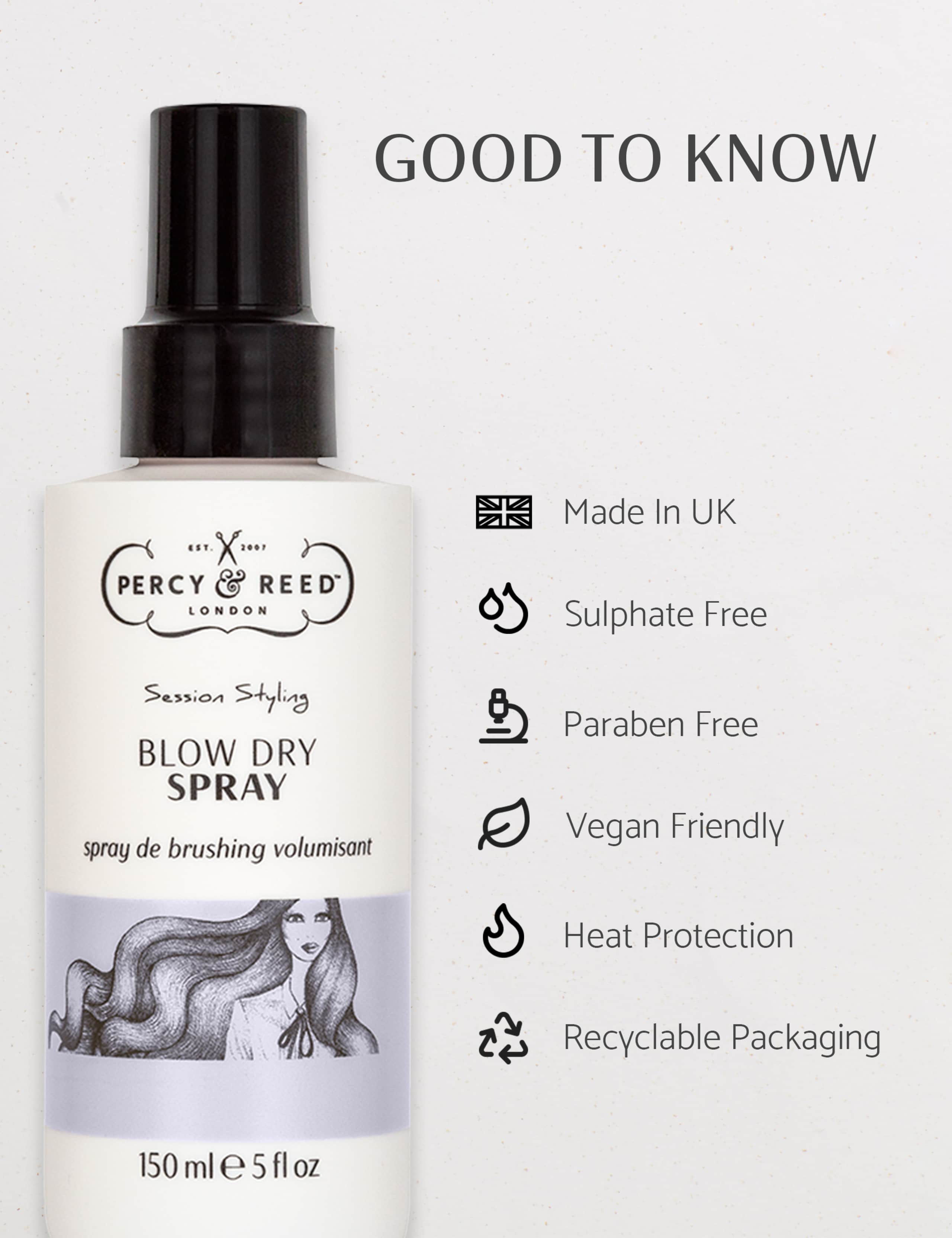 Session Styling Blow Dry Spray 150ml 4 of 7