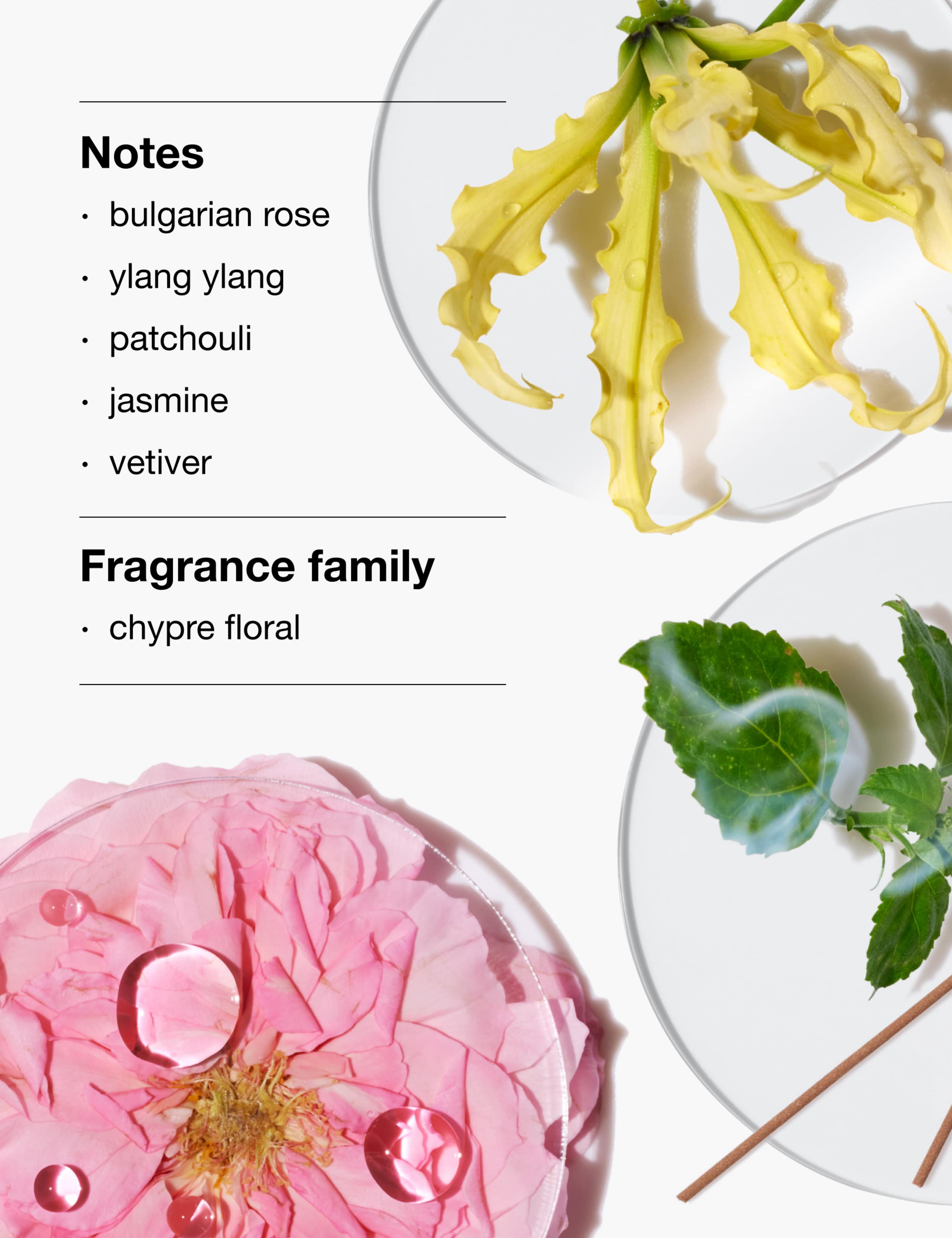 Aromatics Elixir™ Fragrance & Body Duo Gift Set 4 of 5