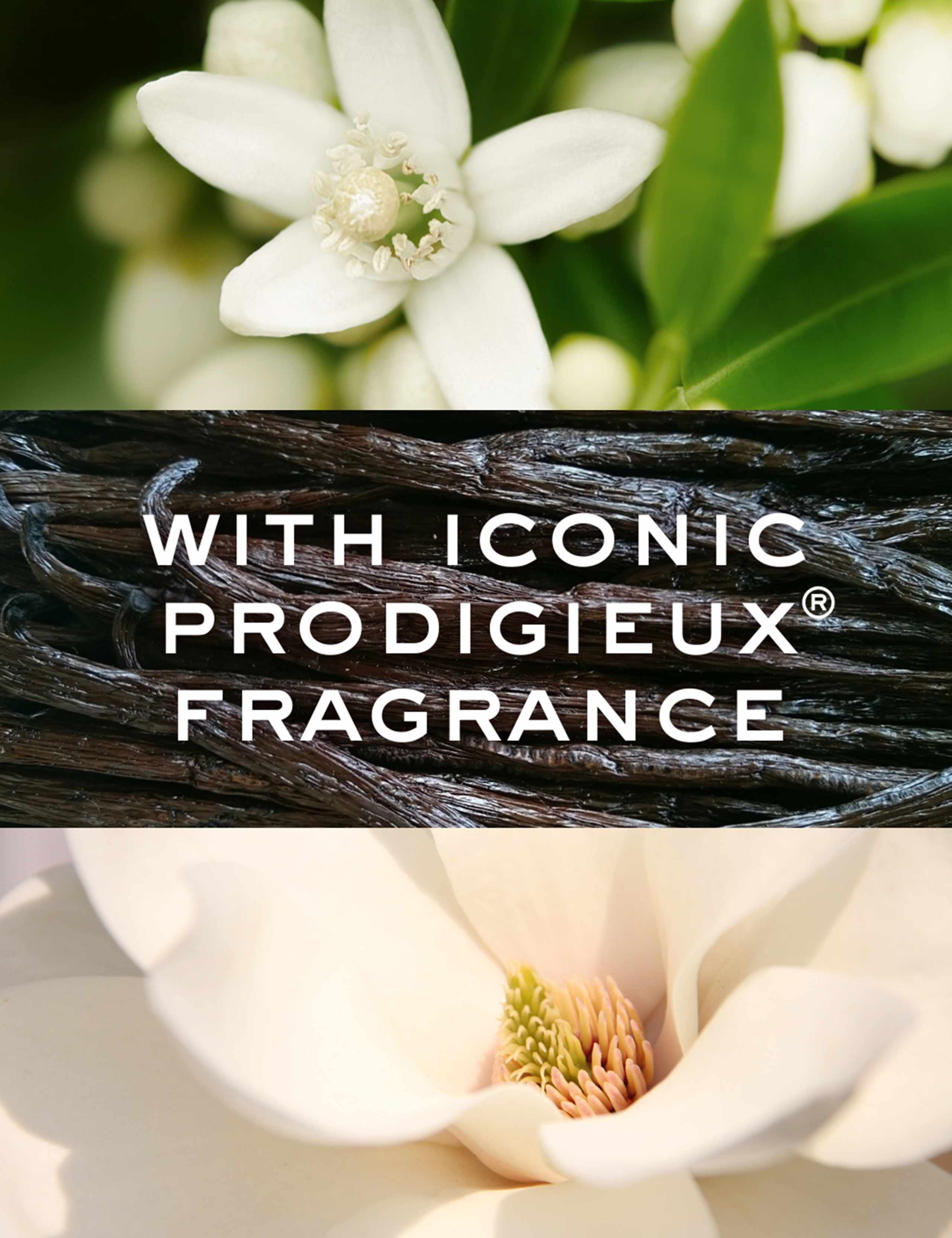 Hair Prodigieux® Pre-shampoo Nourishing Mask 125ml 8 of 9