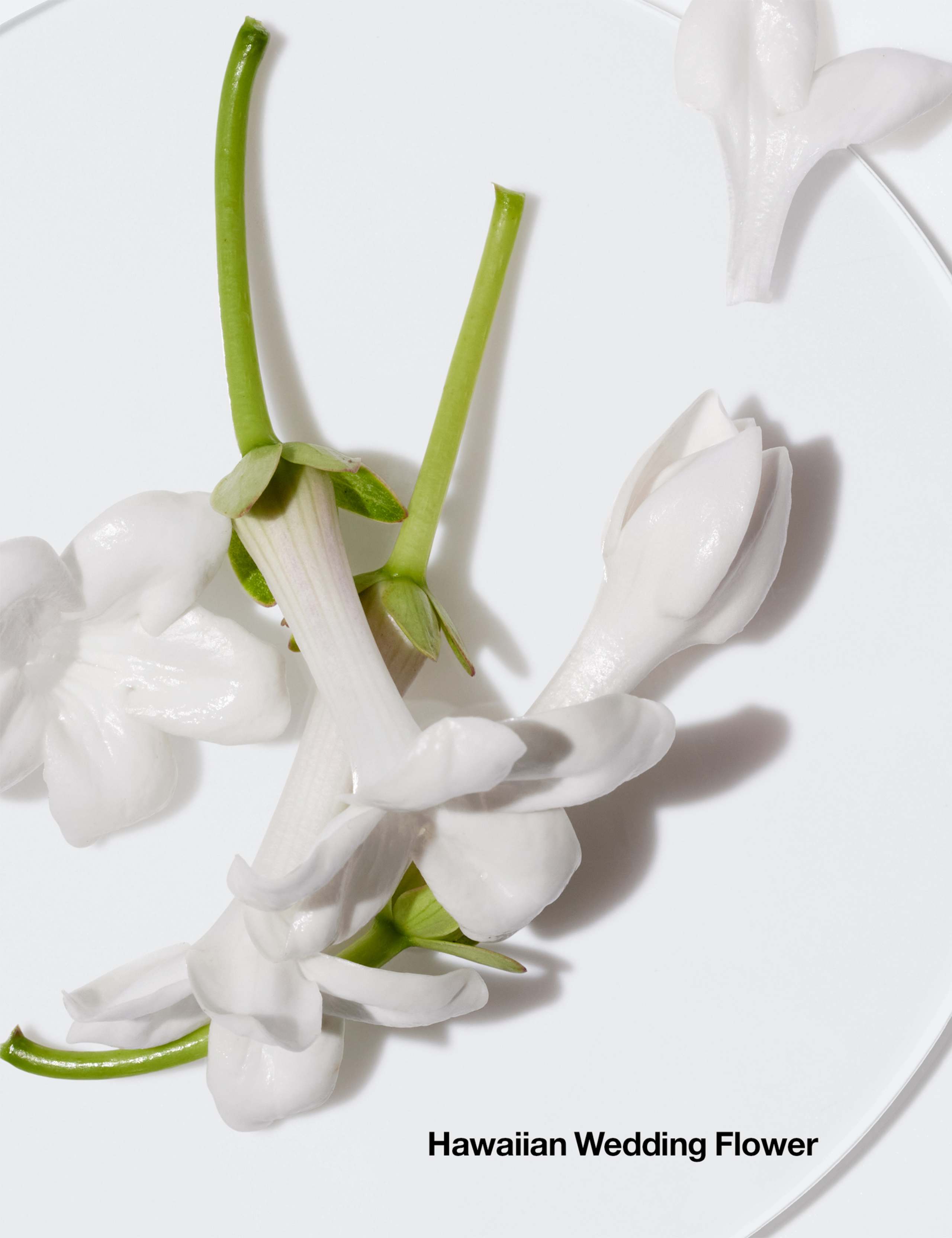 Happy™ Body Spritz 125ml 4 of 7