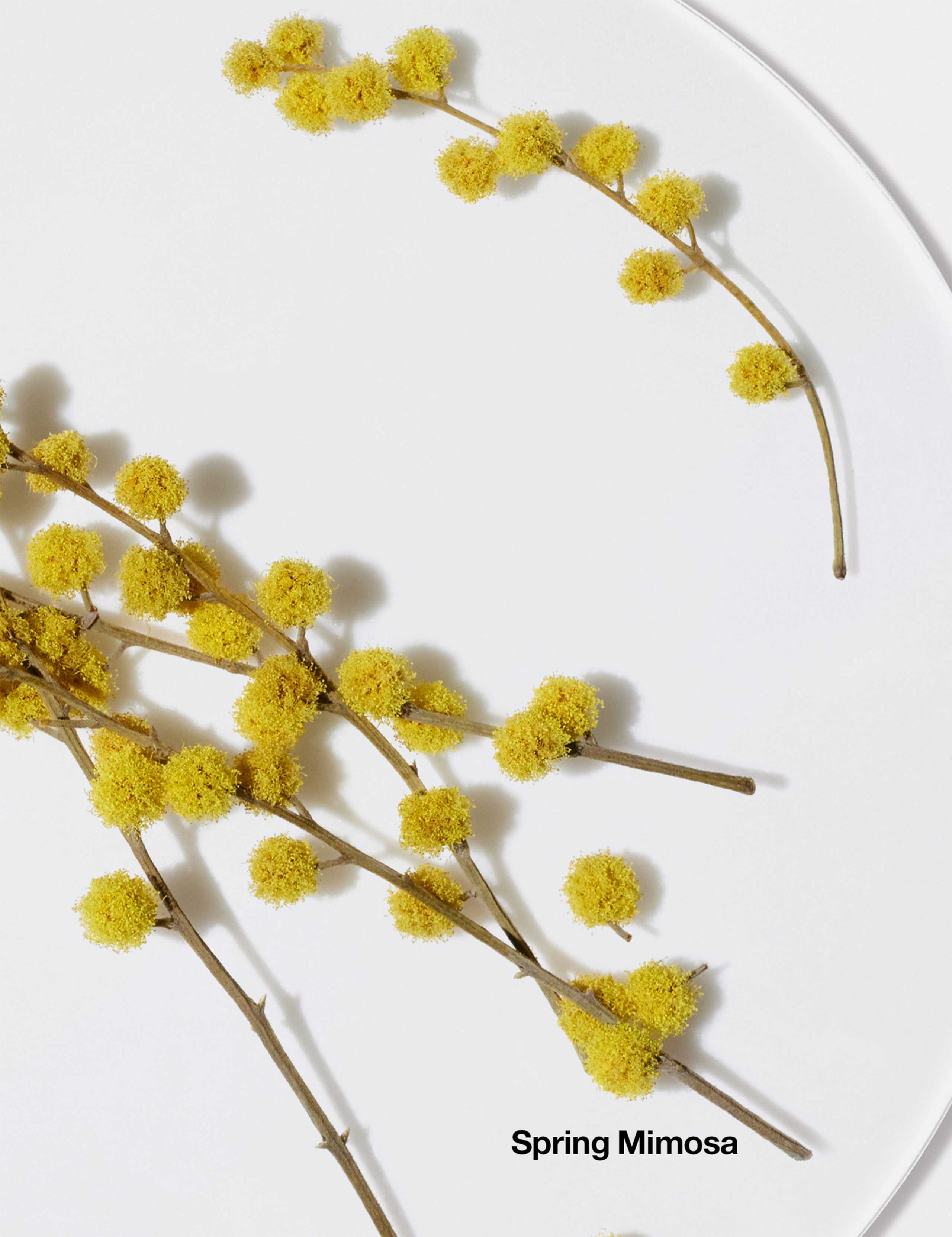 Happy™ Body Spritz 125ml 5 of 7