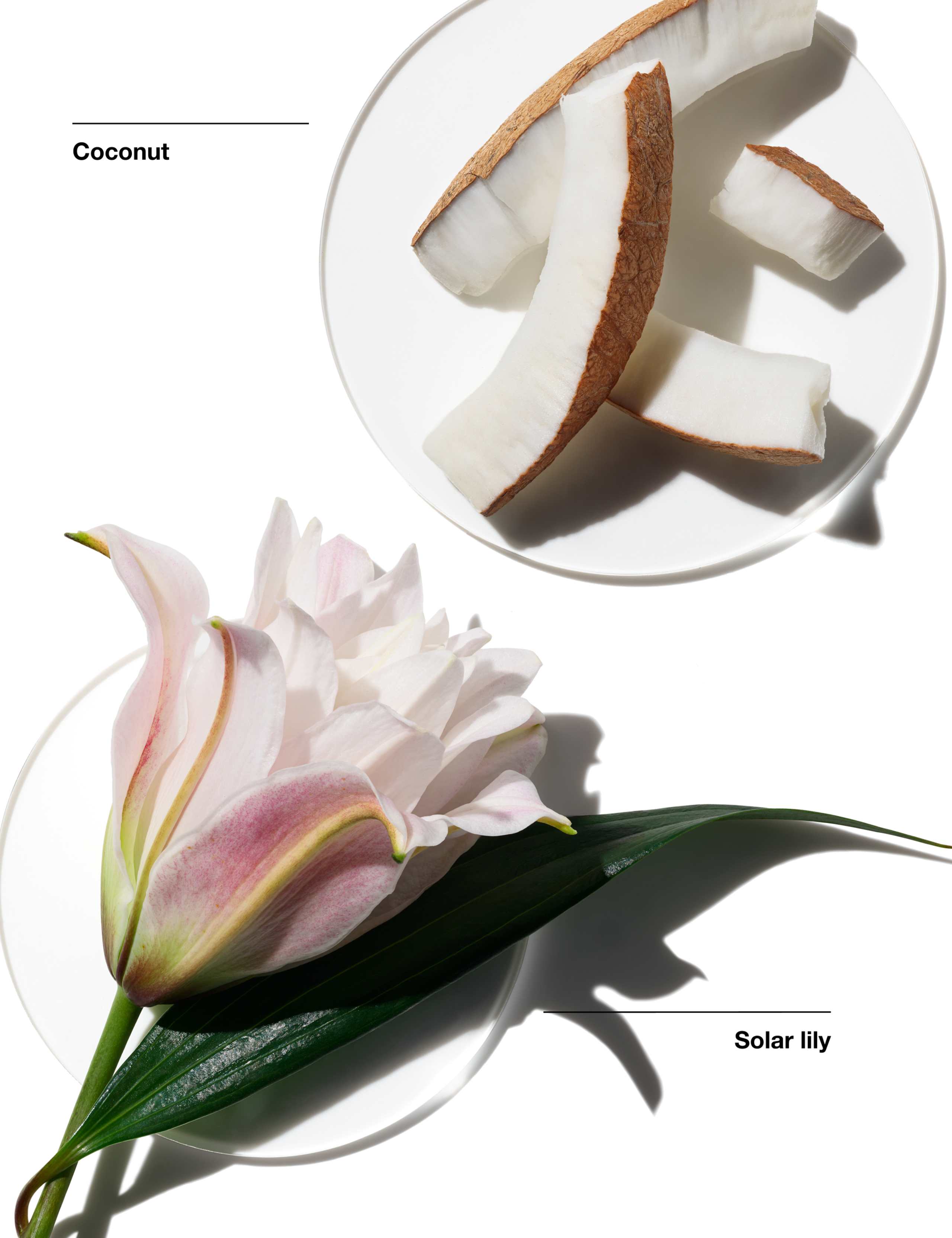 Clinique My Happy™ Lily of the Beach 15ml 2 of 5