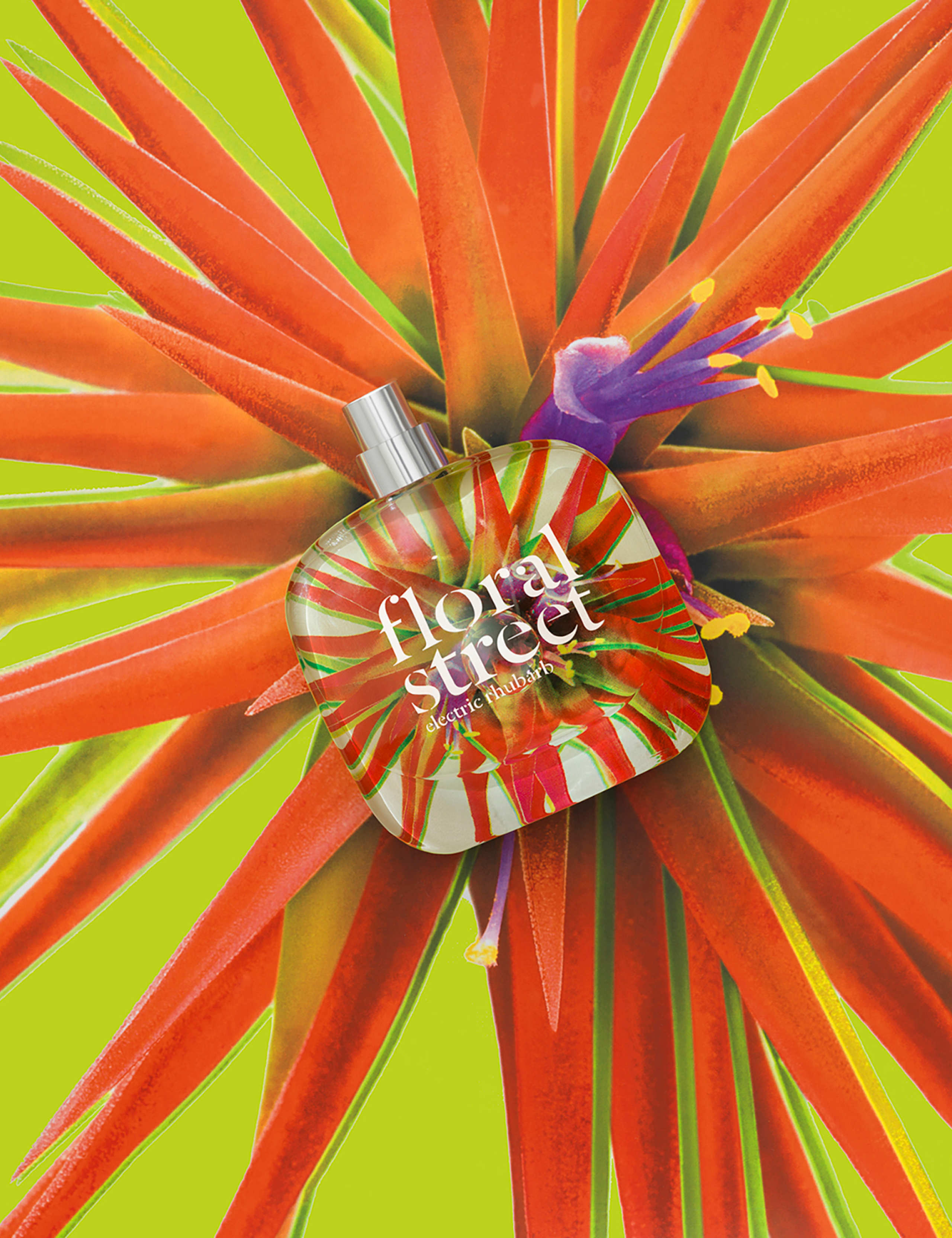 Electric Rhubarb Eau de Parfum 50 ml 4 of 7