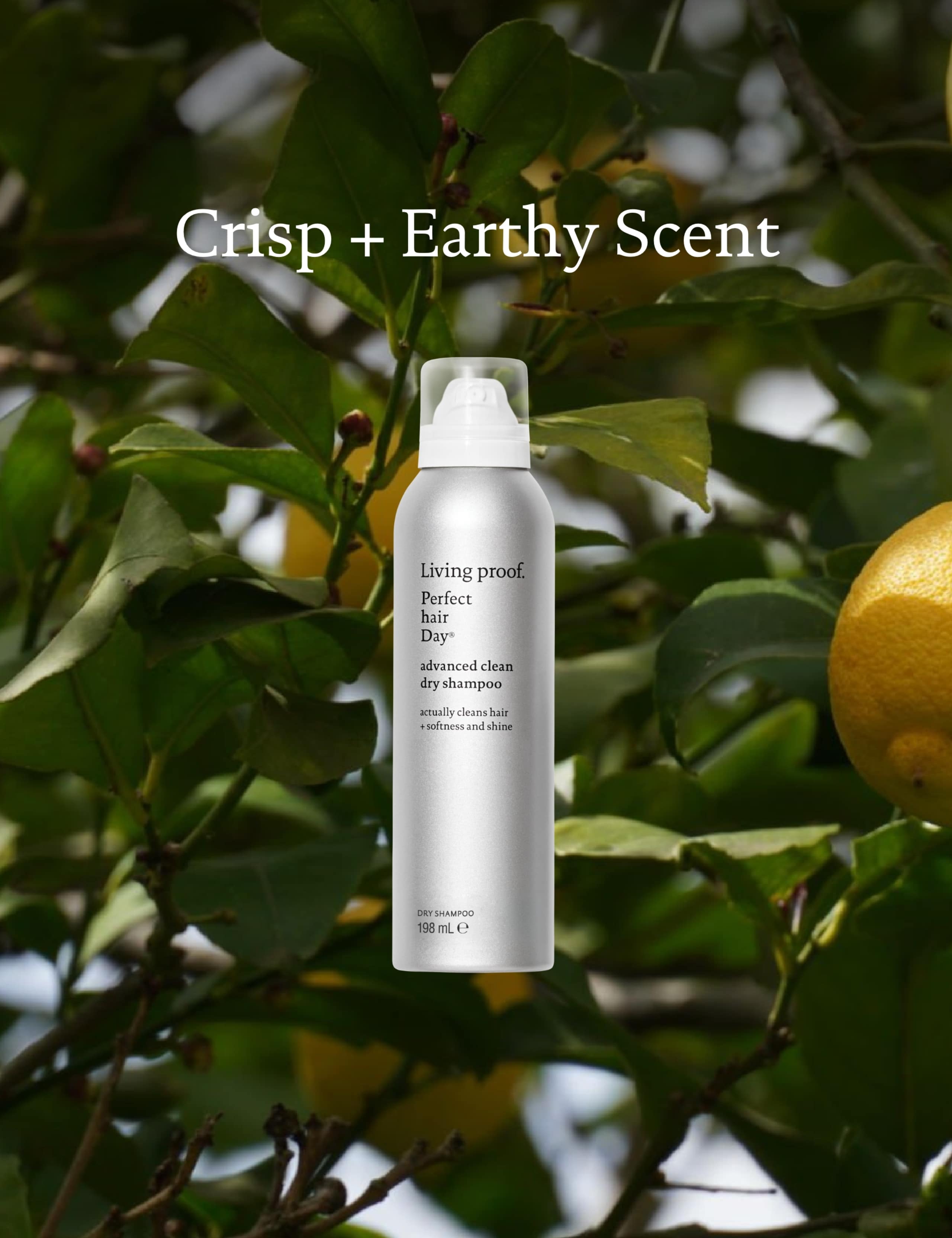 Perfect Hair Day Advanced Clean Dry Shampoo 90ml 10 of 13