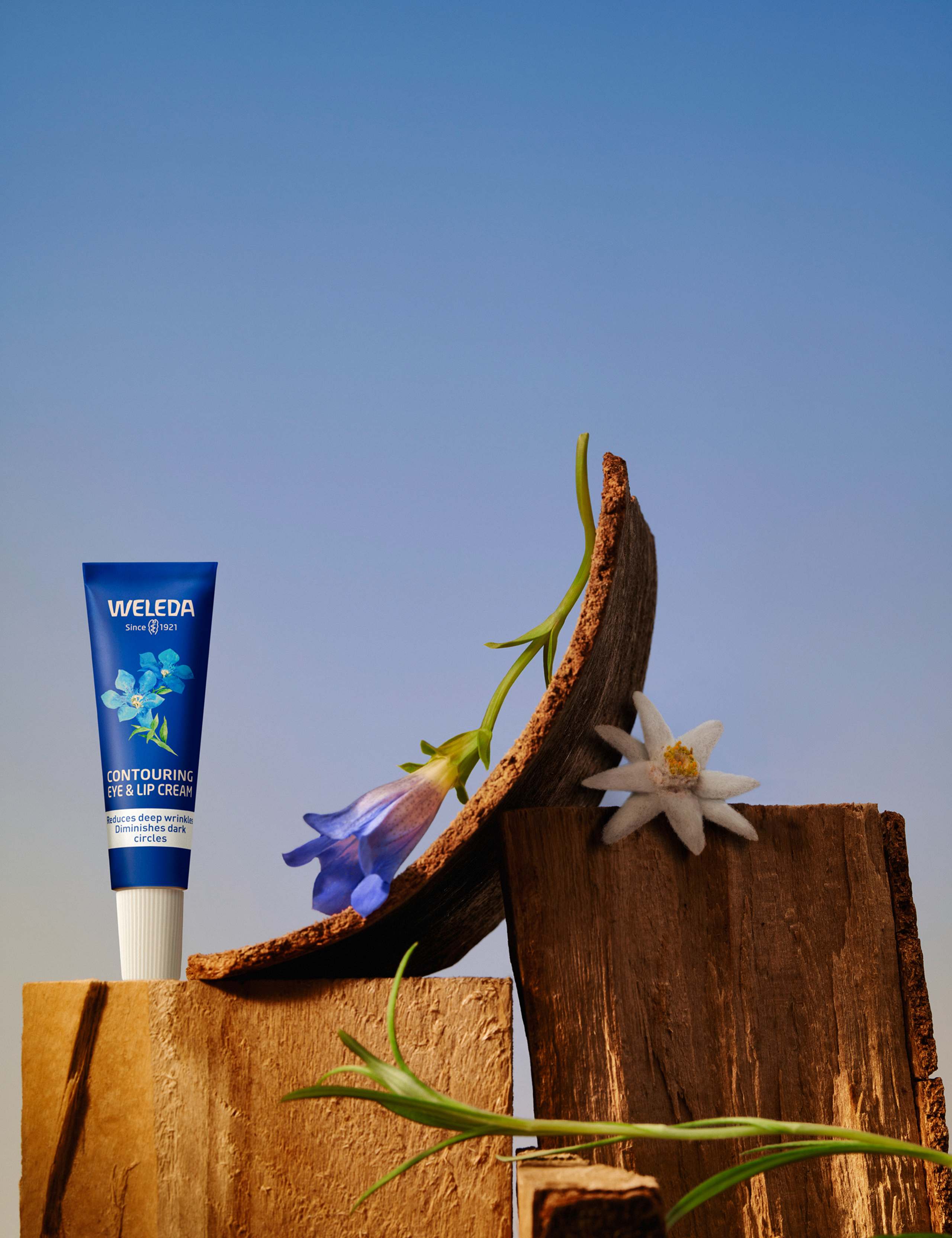 Blue Gentian & Edelweiss Contouring Eye & Lip Care 10ml 2 of 3