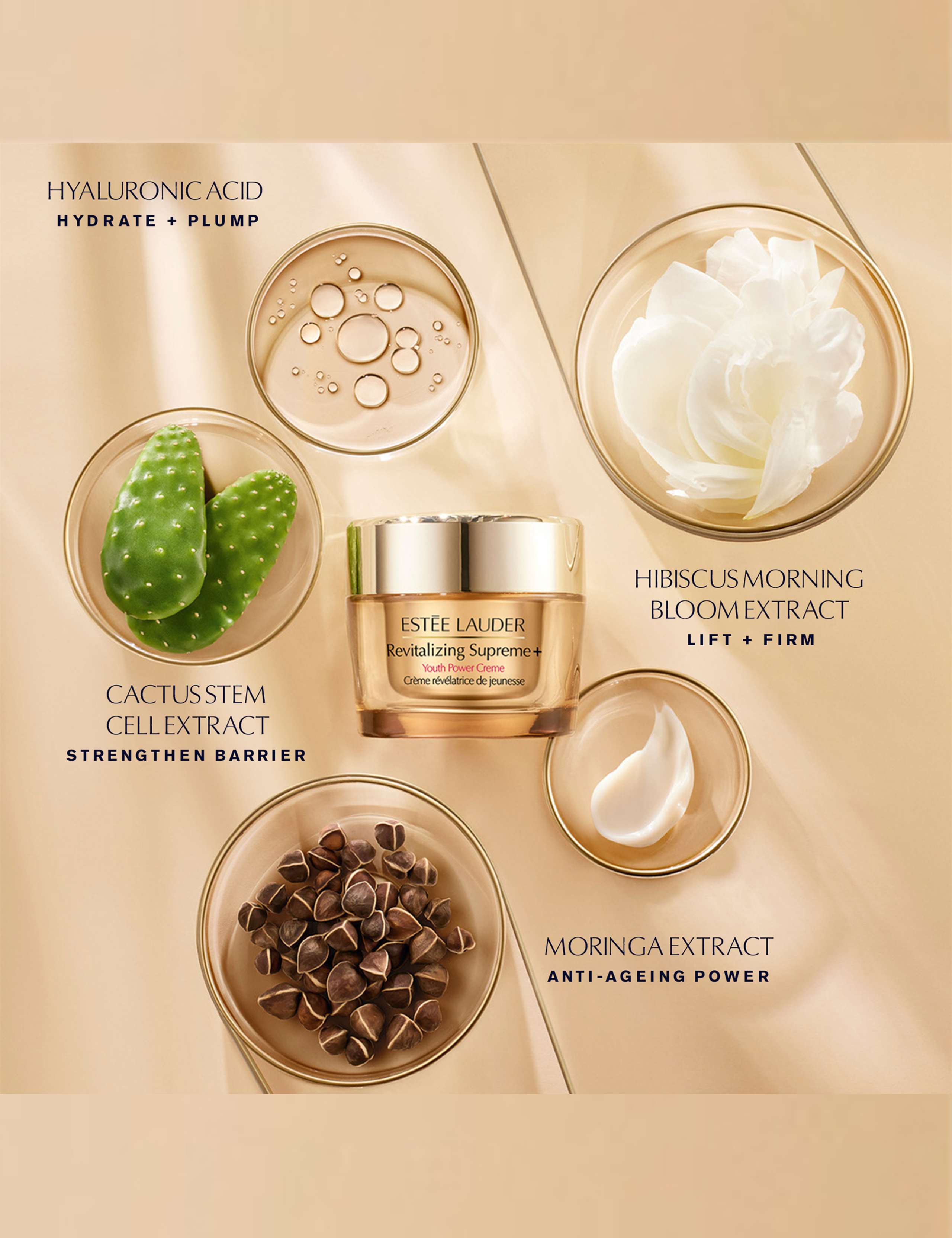 Revitalizing Supreme+ Youth Power Creme Moisturiser 50ml 5 of 7