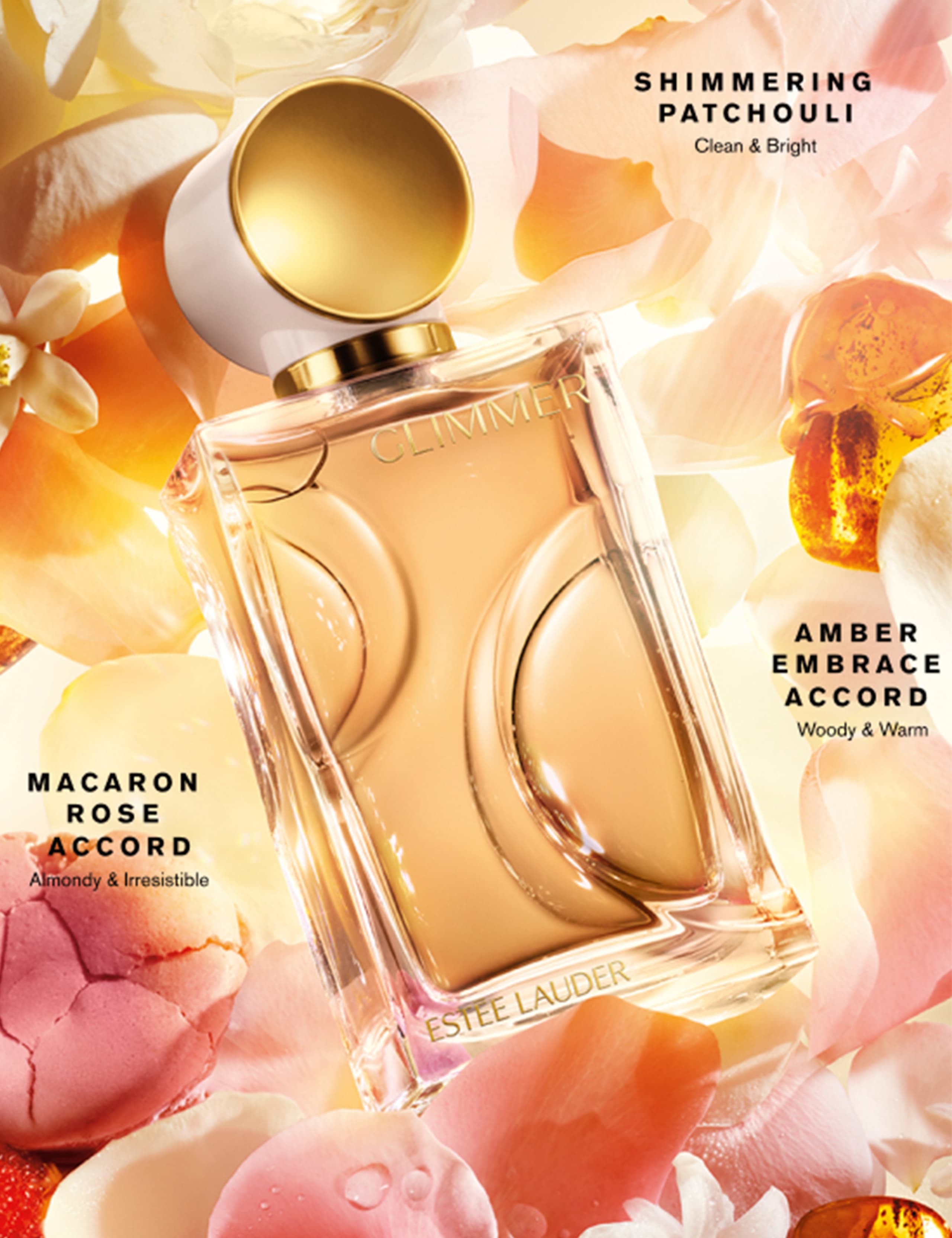 The Perfect Trio Fragrance Gift Set 740g 2 of 5