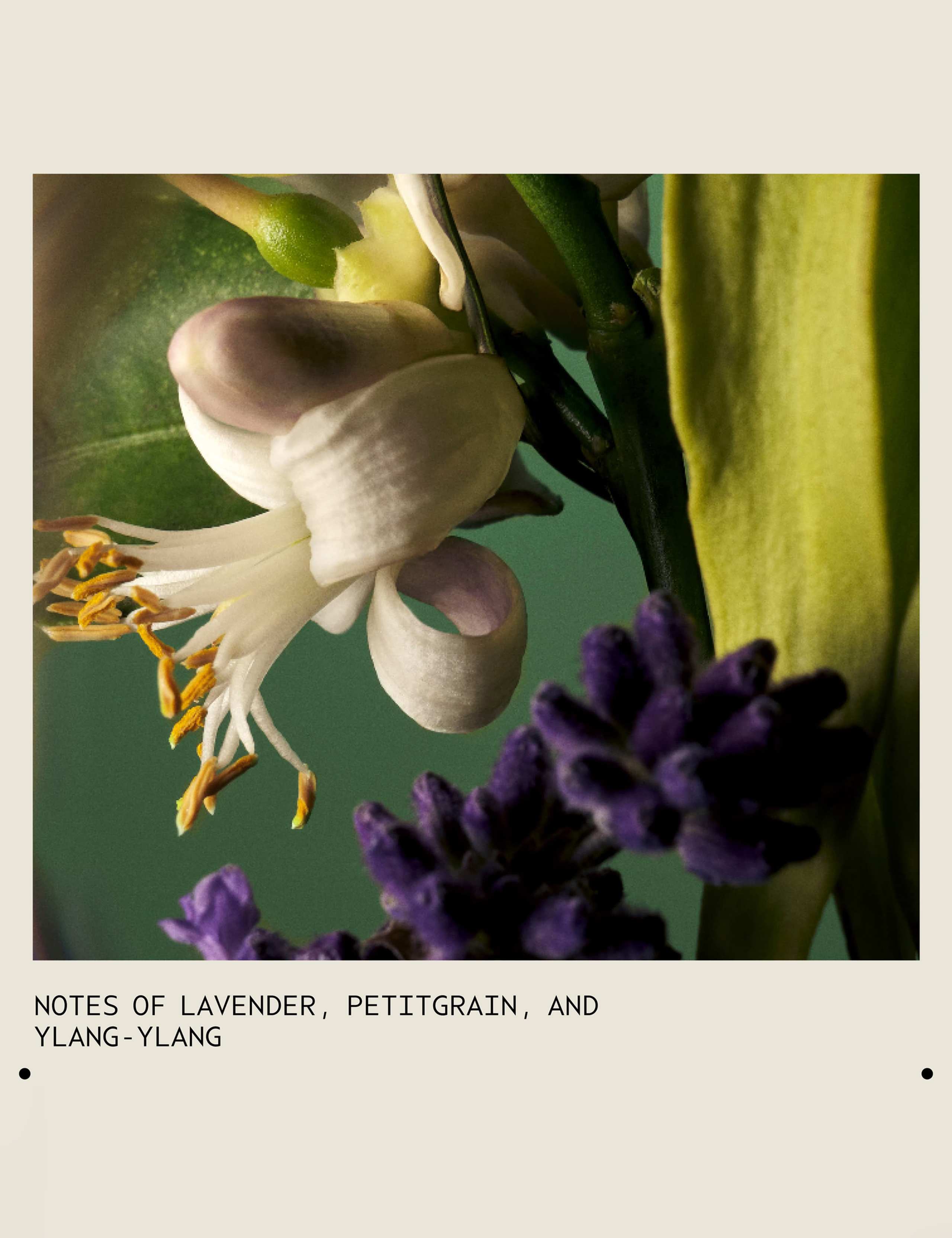 Abundant Blow Out All-Over Volumizing Spray 150ml 7 of 7