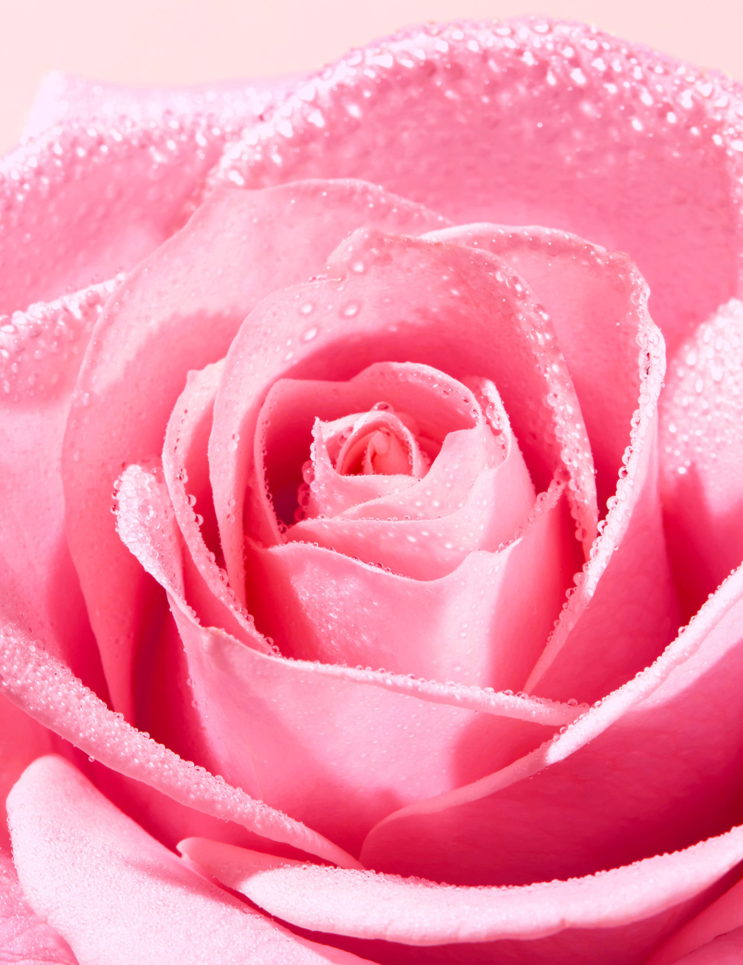 Very Rose Delicate Cleansing Oil 150ml 4 of 5