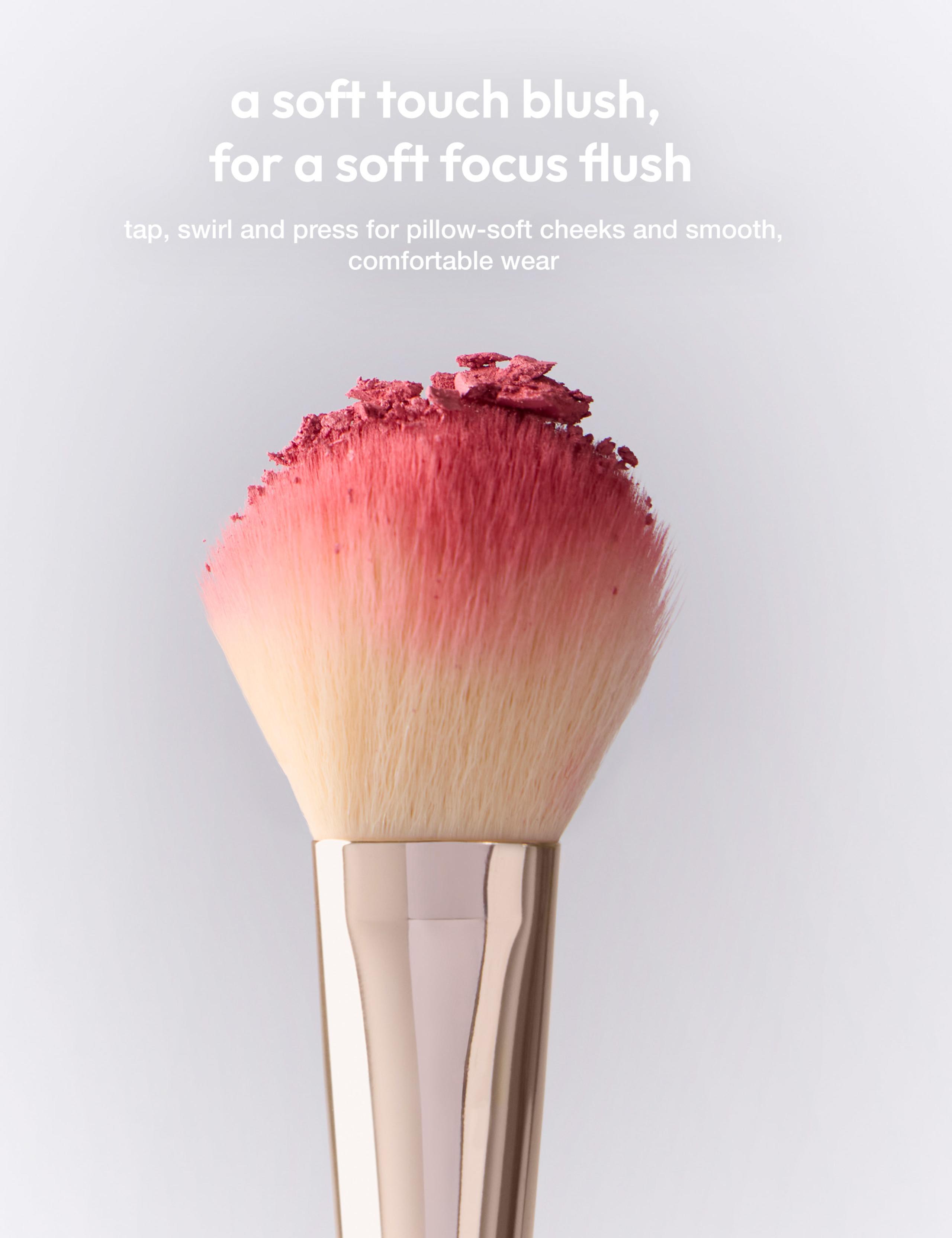 Soft Touch Blush Shady Lady 5g 9 of 9