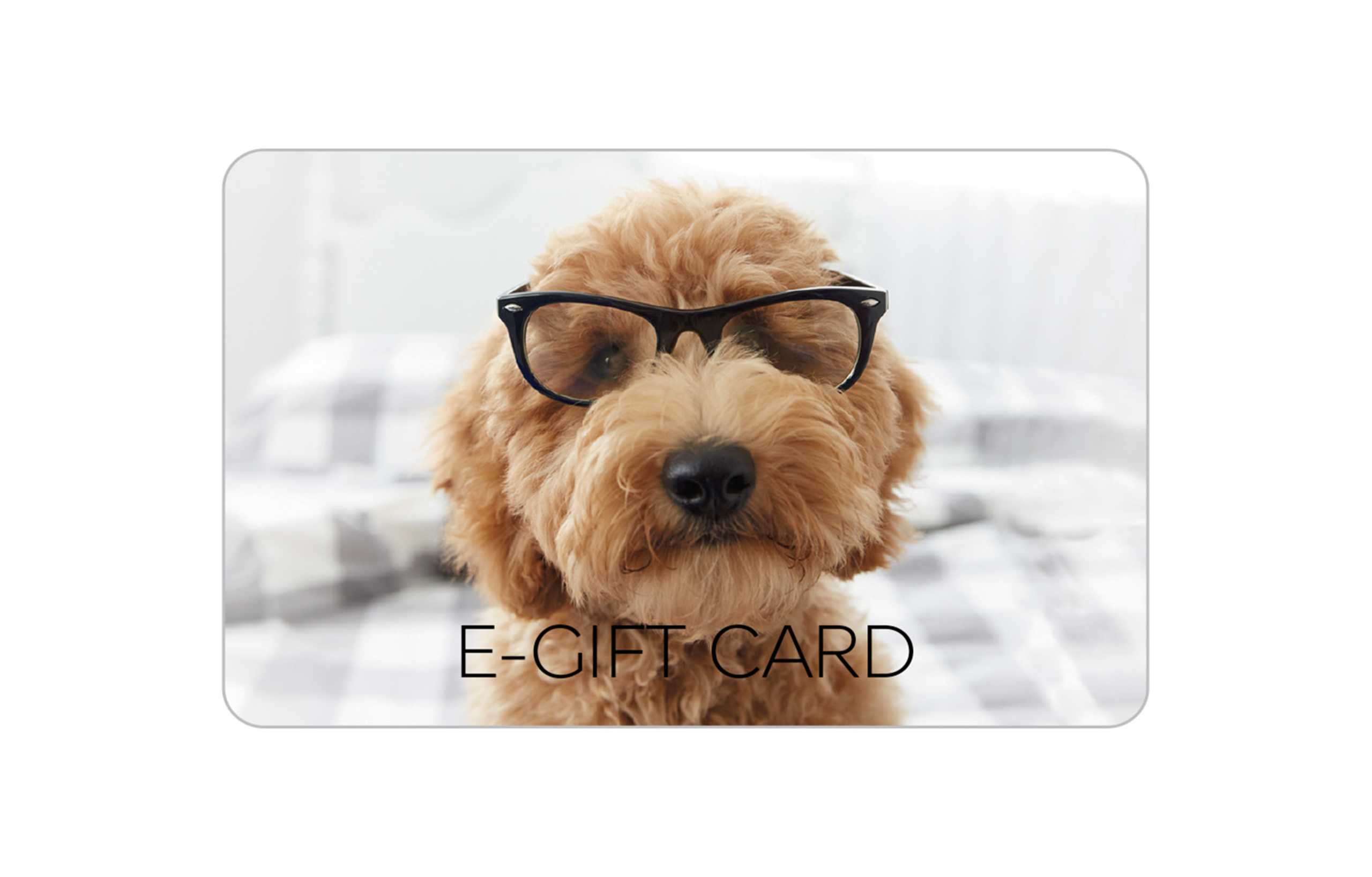 Dog Photographic E-Gift Card 1 of 1