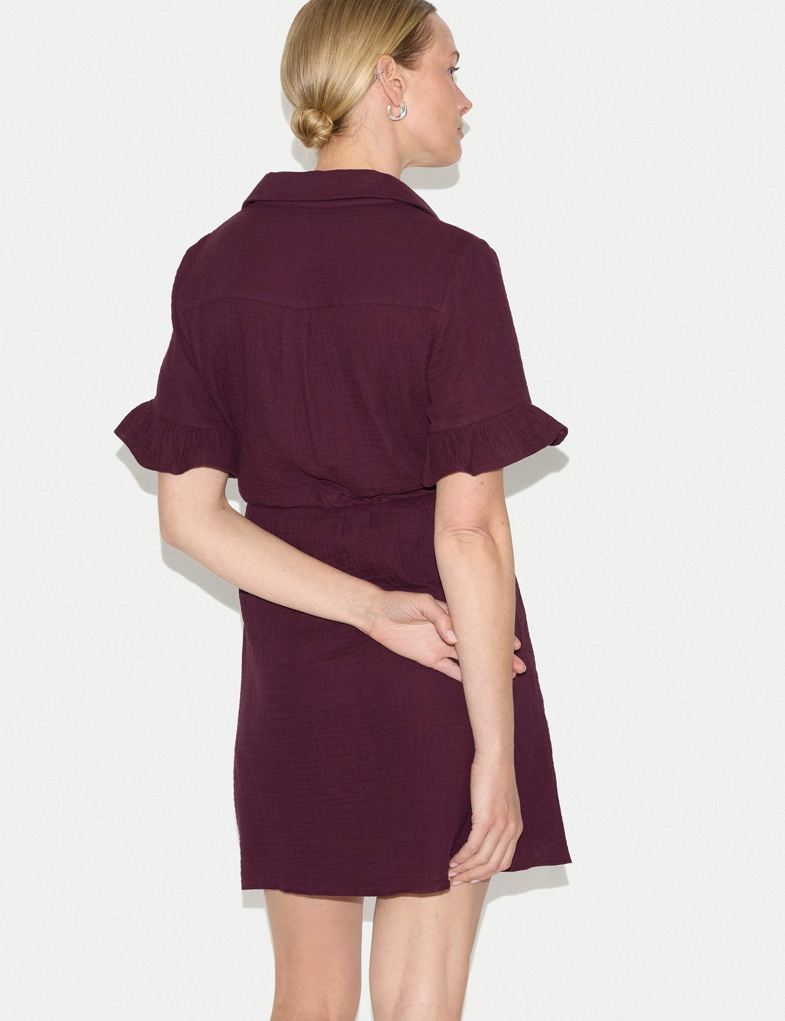 Pure Cotton Collared Mini Tea Dress 3 of 4