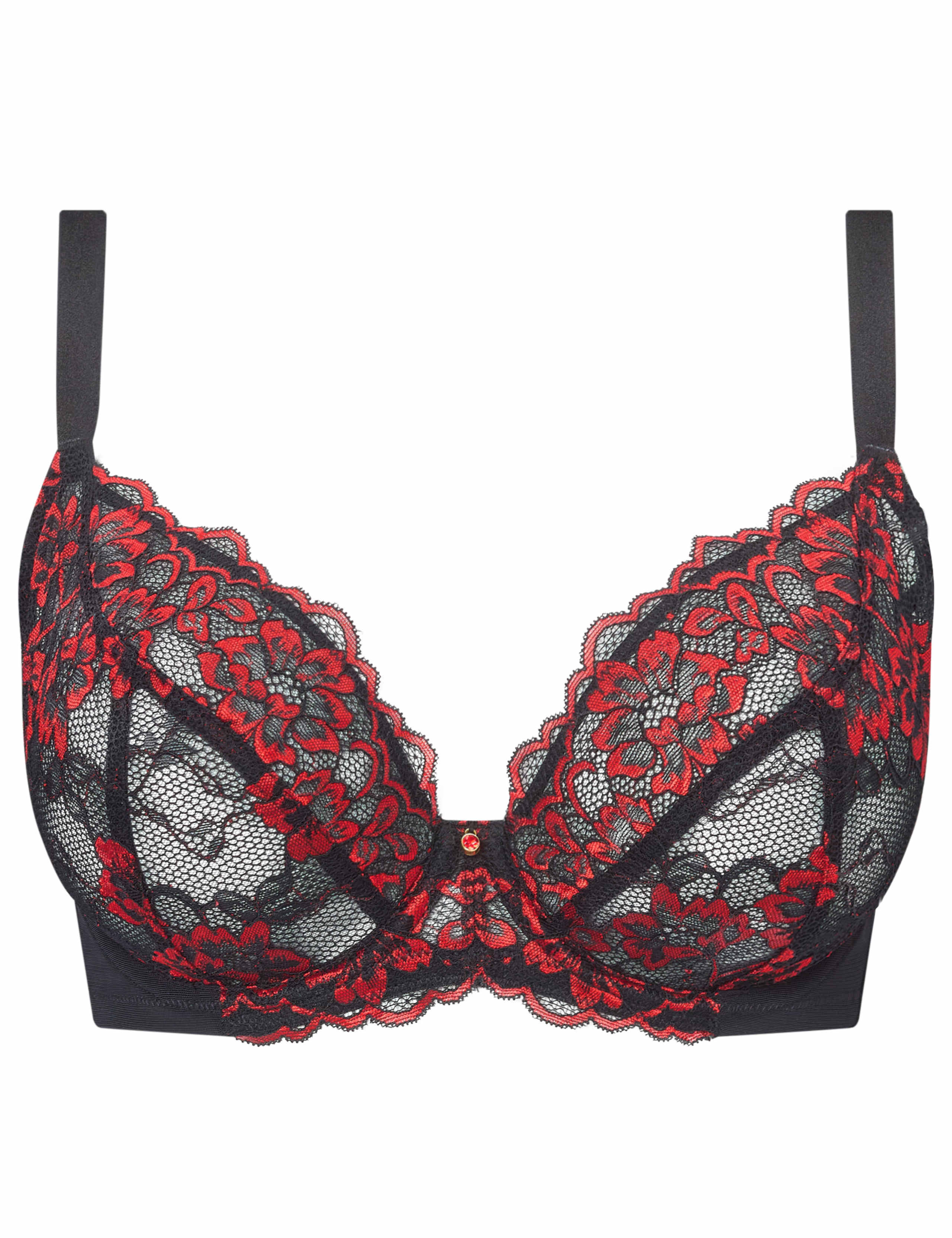 Sexy Lace Wired Plunge Bra (DD-H) 2 of 5