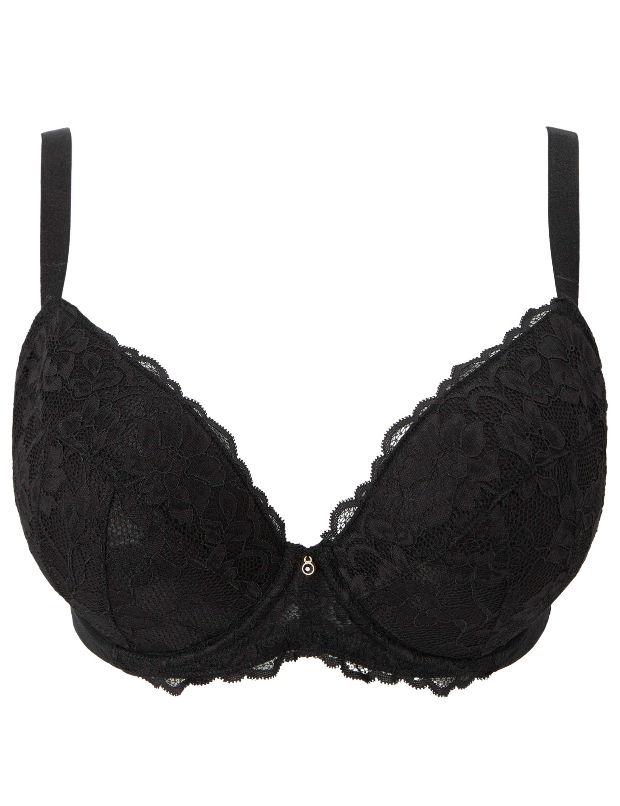 Sexy Lace Wired Plunge Bra (A-G) 9 of 9