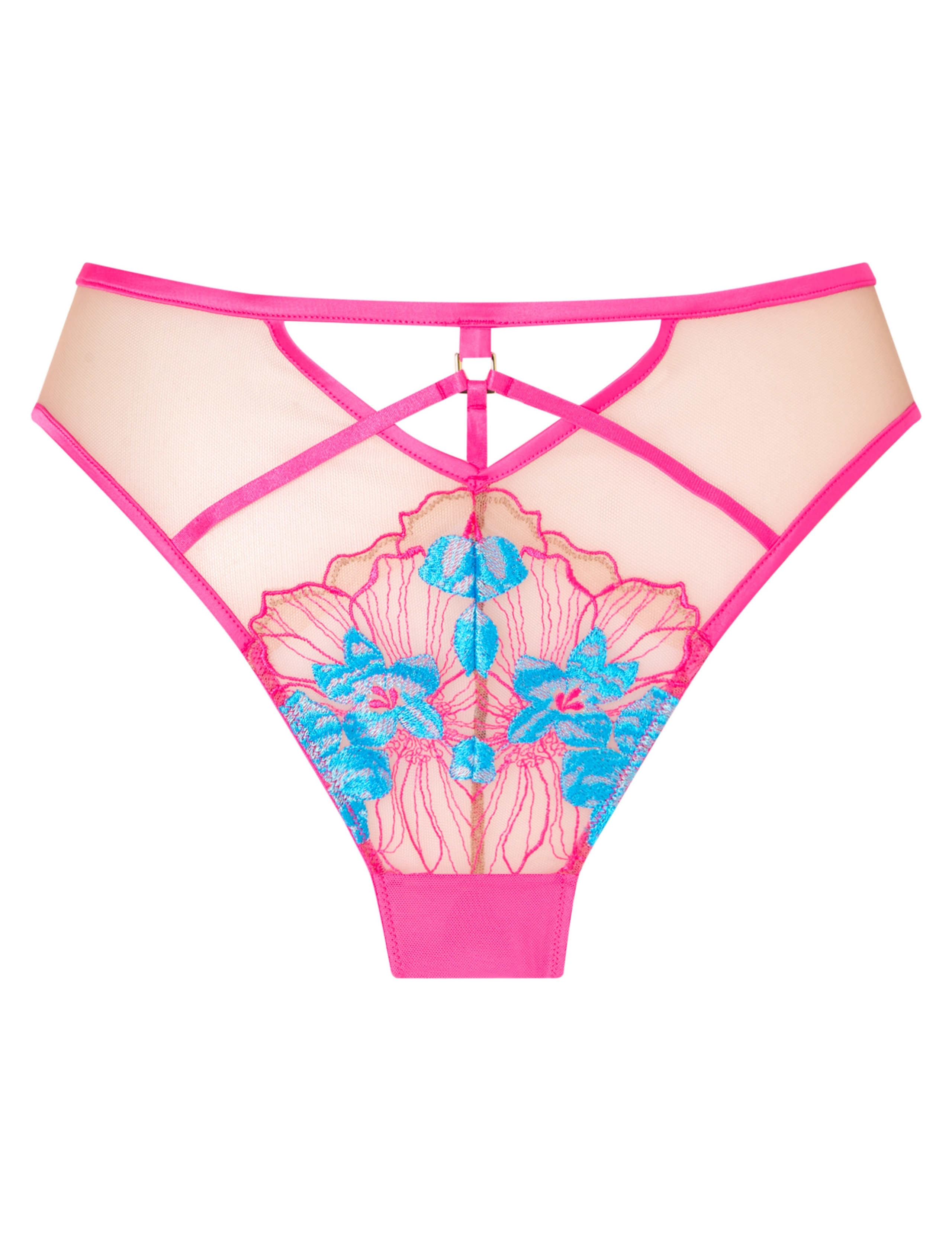 Embroidered Mesh High Waisted Brazilian Knickers 2 of 5