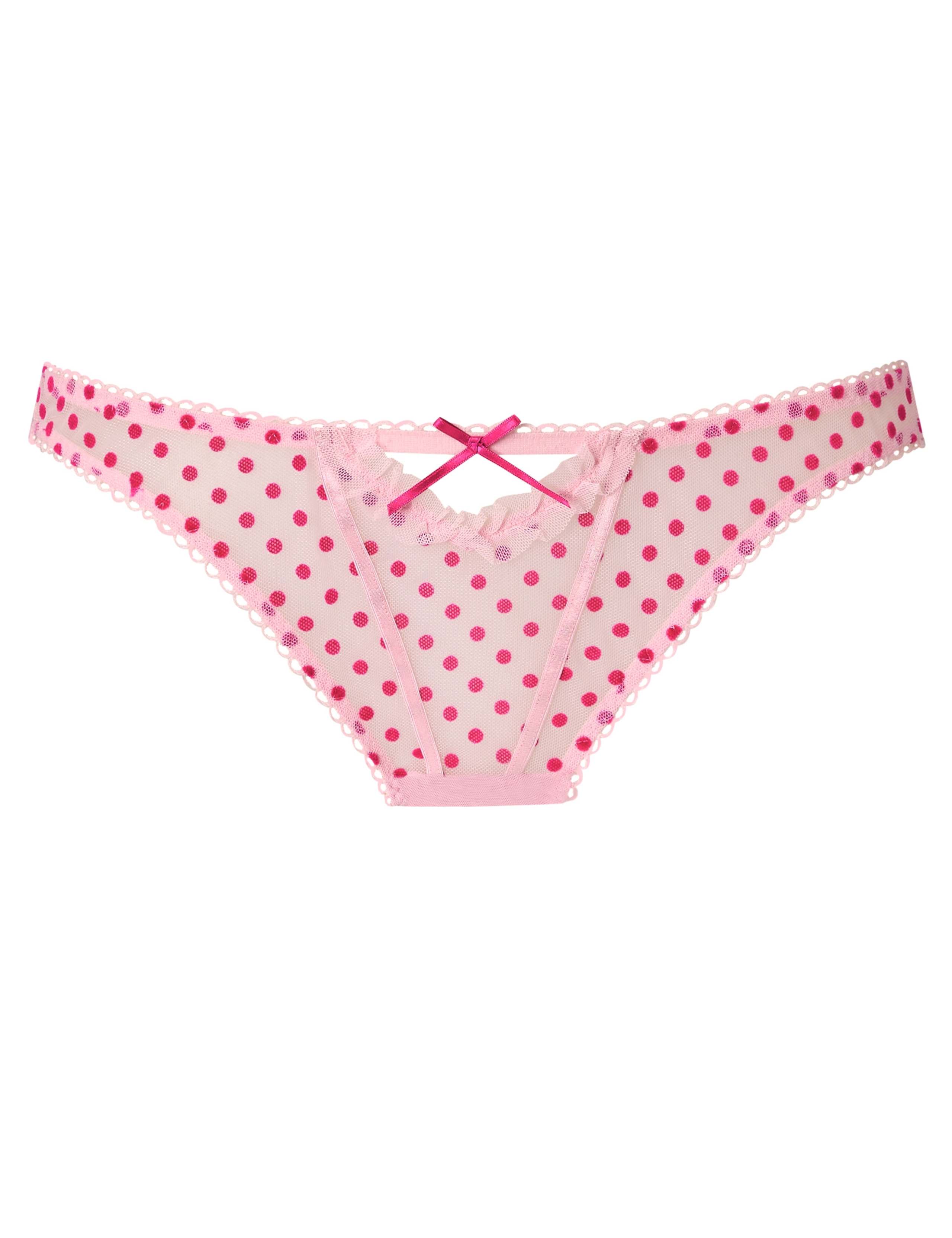 Polka Dot Embroidered Mesh Brazilian Knickers 2 of 5