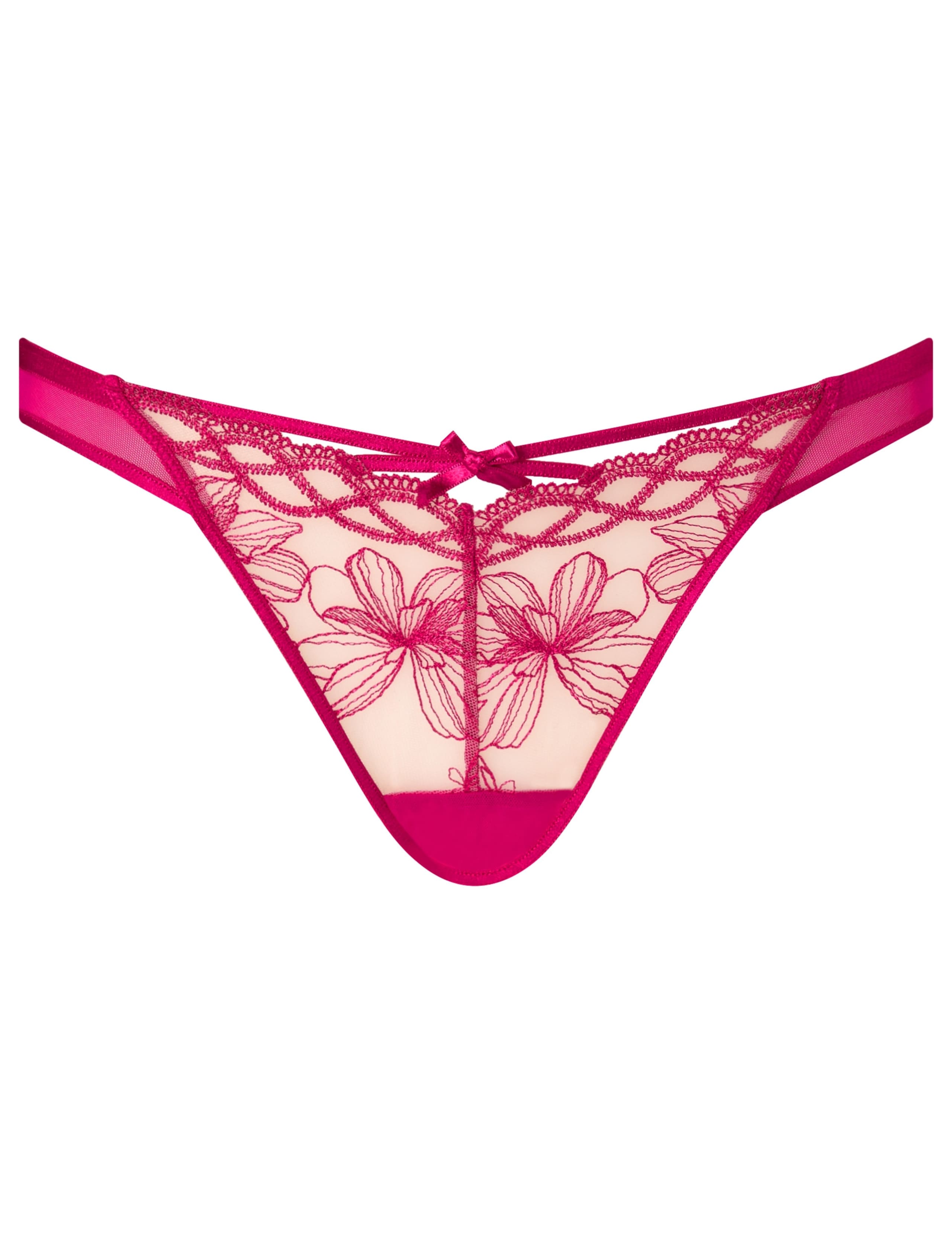 Embroidered Mesh Brazilian Knickers 2 of 5