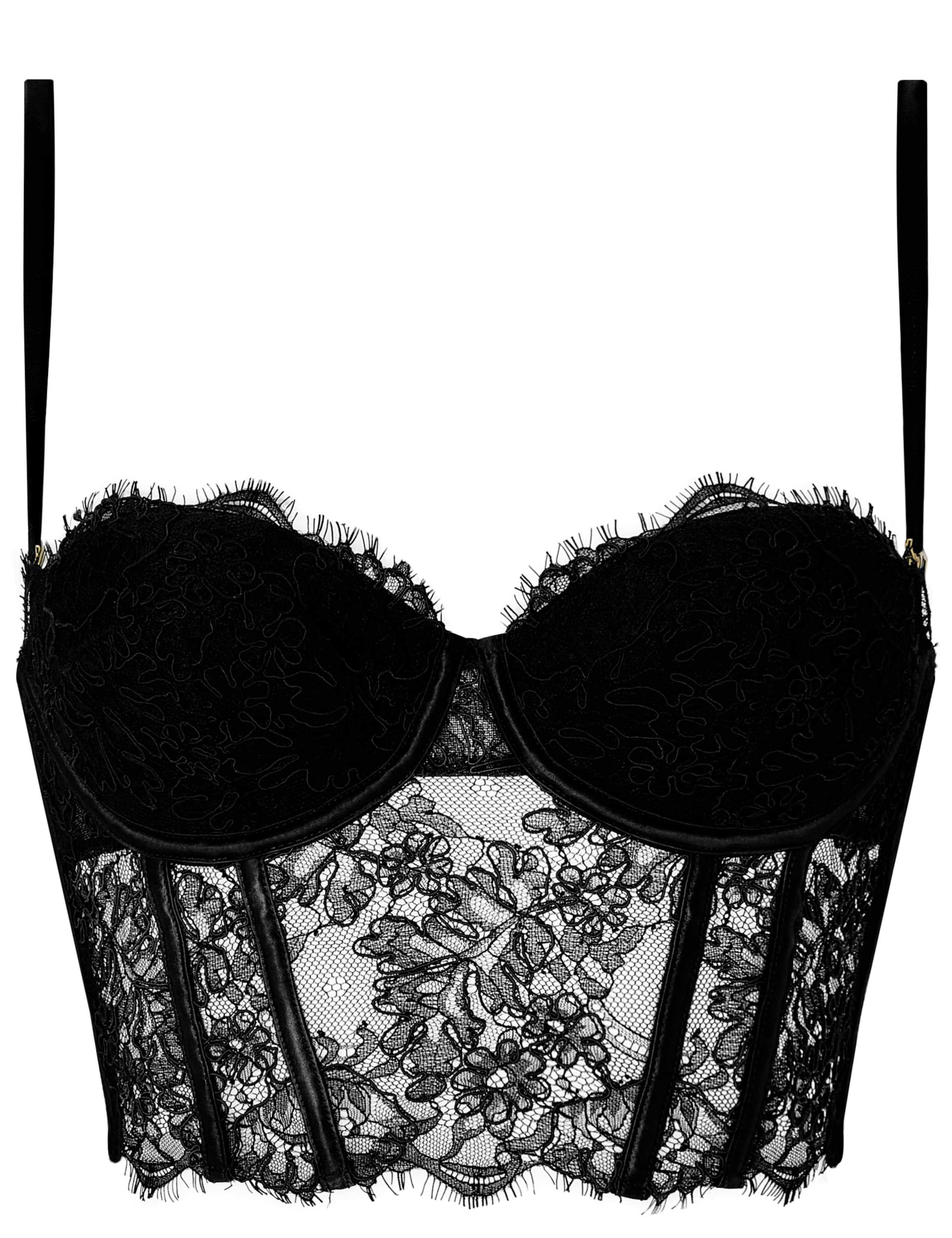 Lace Wired Corset 2 of 6